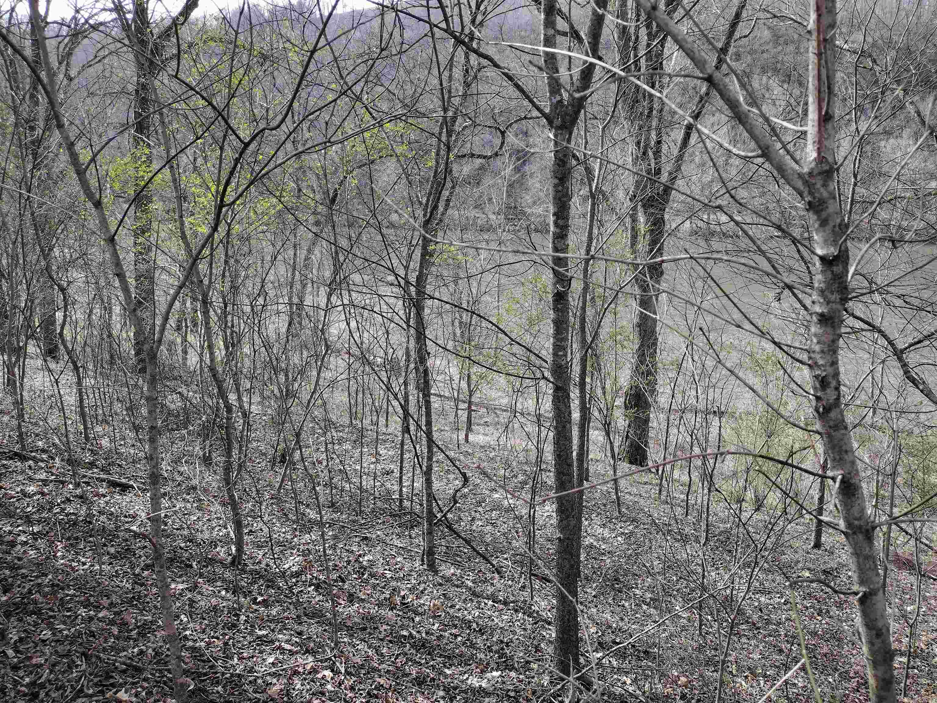 Riverview at Sylamore - Land