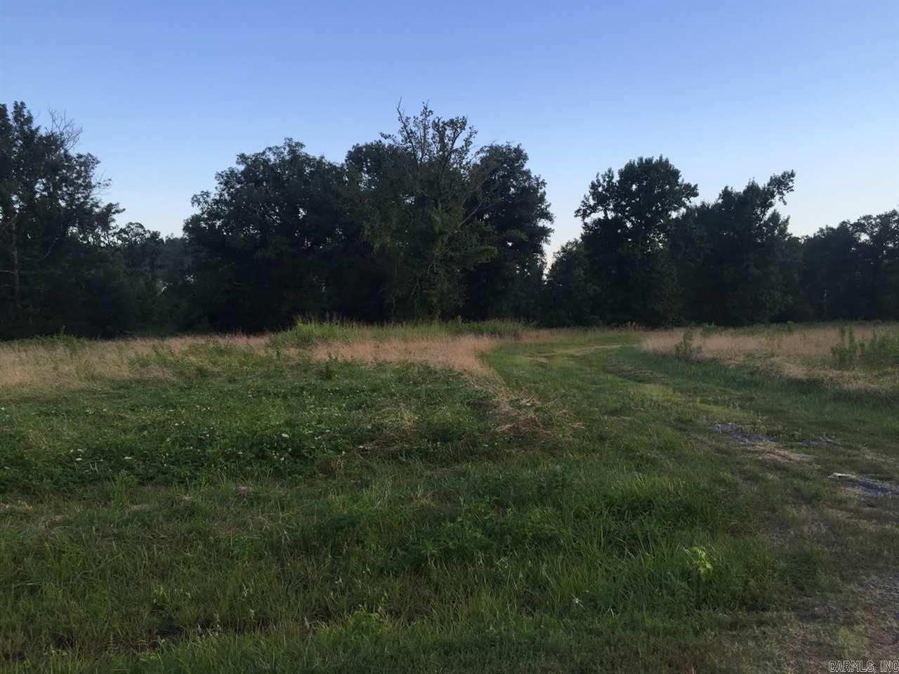 Virginia Downs - Land