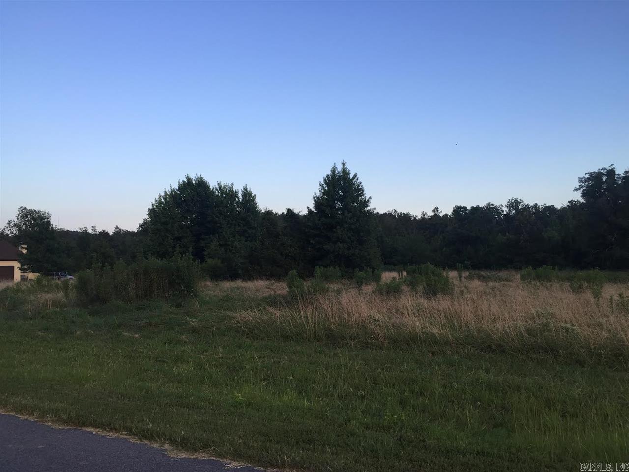 Virginia Downs - Land