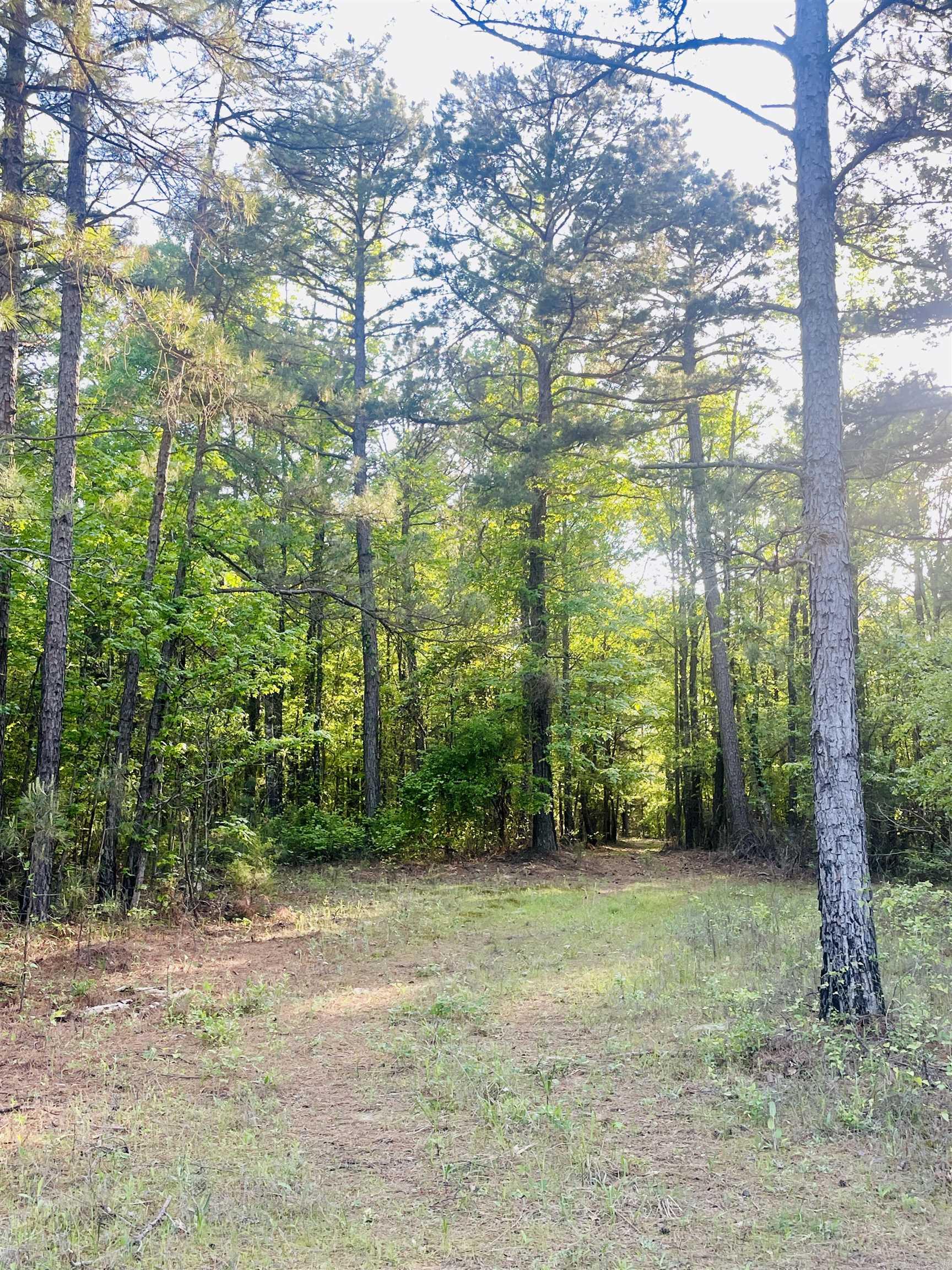 Escape to the peace and privacy of the countryside with this beautiful 25-acre tract located in scenic southwest Arkansas. Boasting generous county road frontage, this property offers easy access while maintaining a secluded, rural feel. Abundant pine trees provide natural beauty and shade, creating a picturesque setting perfect for building your dream home or weekend getaway. With plenty of space to spread out, you’ll have room for a garden, recreation, livestock, or simply enjoying the wide-open outdoors. Modern conveniences are ready to go with high-speed internet and rural community water available - just bring your vision and make it your own. Whether you’re looking for a peaceful homestead, a recreational retreat, or future investment, this land is full of potential. Don’t miss your opportunity to own a slice of Arkansas countryside. Additional adjoining property available - MLS 115393.