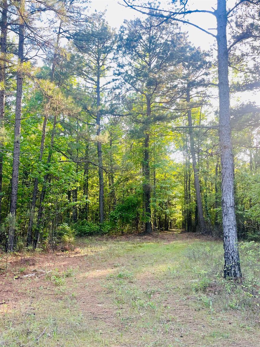 Escape to the peace and privacy of the countryside with this beautiful 25-acre tract located in scenic southwest Arkansas. Boasting generous county road frontage, this property offers easy access while maintaining a secluded, rural feel.  Abundant pine trees provide natural beauty and shade, creating a picturesque setting perfect for building your dream home or weekend getaway. With plenty of space to spread out, you’ll have room for a garden, recreation, livestock, or simply enjoying the wide-open outdoors.  Modern conveniences are ready to go with high-speed internet and rural community water available - just bring your vision and make it your own.  Whether you’re looking for a peaceful homestead, a recreational retreat, or future investment, this land is full of potential. Don’t miss your opportunity to own a slice of Arkansas countryside.  Additional adjoining property available - MLS 115393.