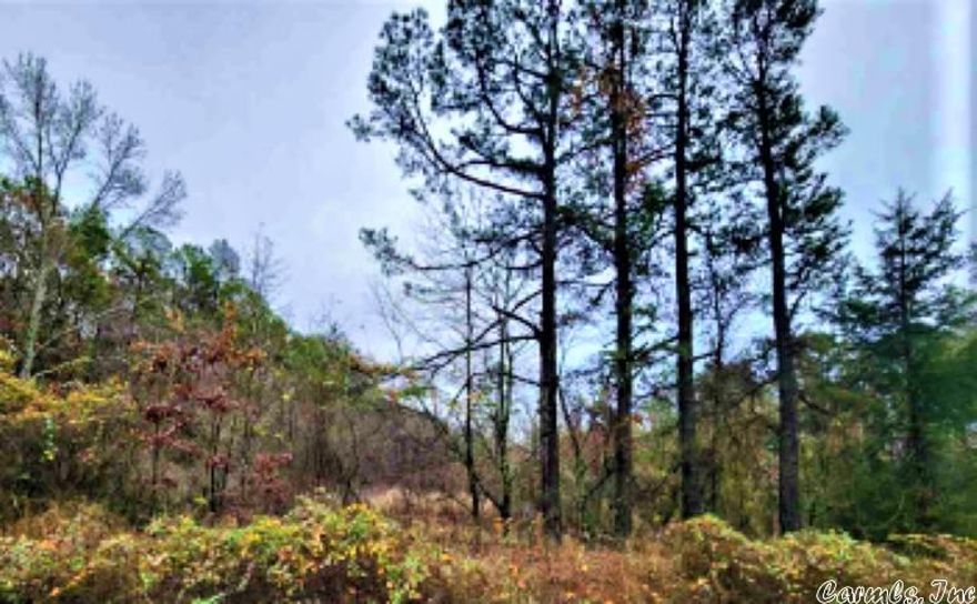 It's Called a Sleeper because It's a Great Deal!  23.09 acres tucked into a sparsely populated area in the gorgeous Ouachita Mountains of Arkansas.  There is a small pond, and most of the property is wooded.  Wildlife is abundant.  Per our comparative market analysis, the old building on the property was not considered to be of any consequence.  Power available.  Although a well was once located on premises, owners suggest to Buyers that a new well and septic system would be needed if Buyers plan to build on the land.  Mineral rights do not convey.