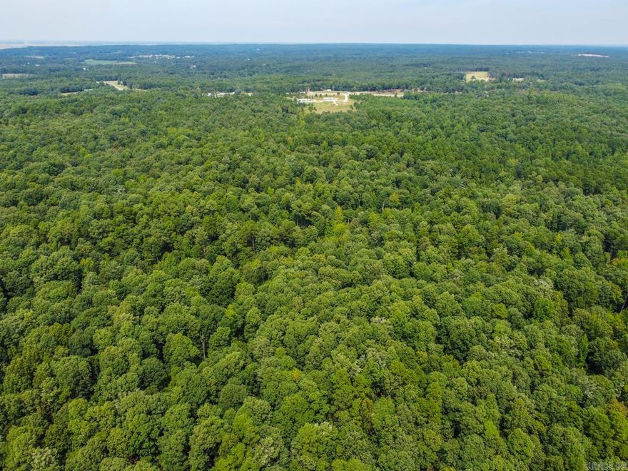 Welcome to Market 200 +/- rolling acres on Greene County Roads 718 and 707 with Highway 412 access in Paragould, Arkansas. A rolling bounty of mature Timberland, dense with Oak, Pine, Fern, and Muscadine, sprinkled with seasonal creeks & deer stands, with wide ATV/truck trails weaving throughout the grounds. Multiple clearings, perfect for your deer stand, cabin in the woods, homestead, or hunting lodge. Marketable timber hasn't been cut in over twenty years. You'll share the wooded grounds with various wildlife including: deer, turkey, fox, birds, and broad headed skinks.  The Sellers love riding the trails, the beauty of seasonal changes, observing the budding and falling of leaves, and being surrounded by natures beauty and the music of the woods. Convenient road frontage access from Greene Road 718, 707, and easement access from Highway 412. Craighead Electric, Western Greene County Water, and Empower Fiber Internet available to the property. Opportunity Knocks! Offerings such as this are few and far between.  Additional acreage available. Legal TBD by way of new survey. Call today to schedule your tour and make an investment in tomorrow.