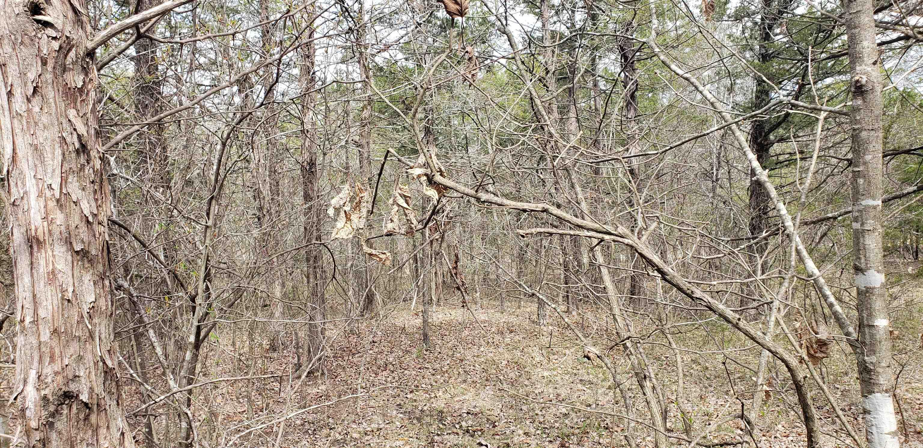 Cedar Heights - Land