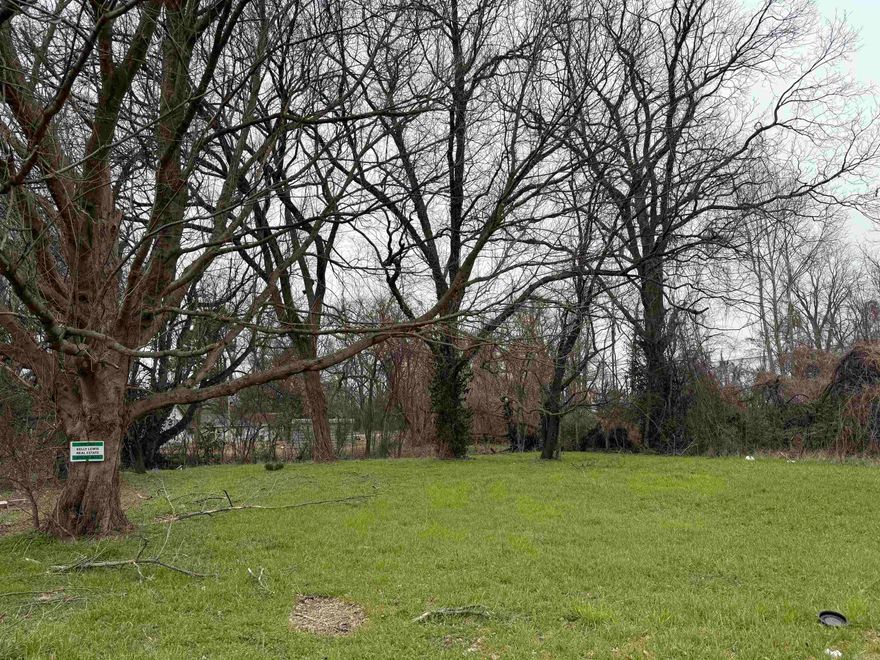 End of the dead end street.  Nice lot to build a house. Also includes parcel #0749-00045-0000