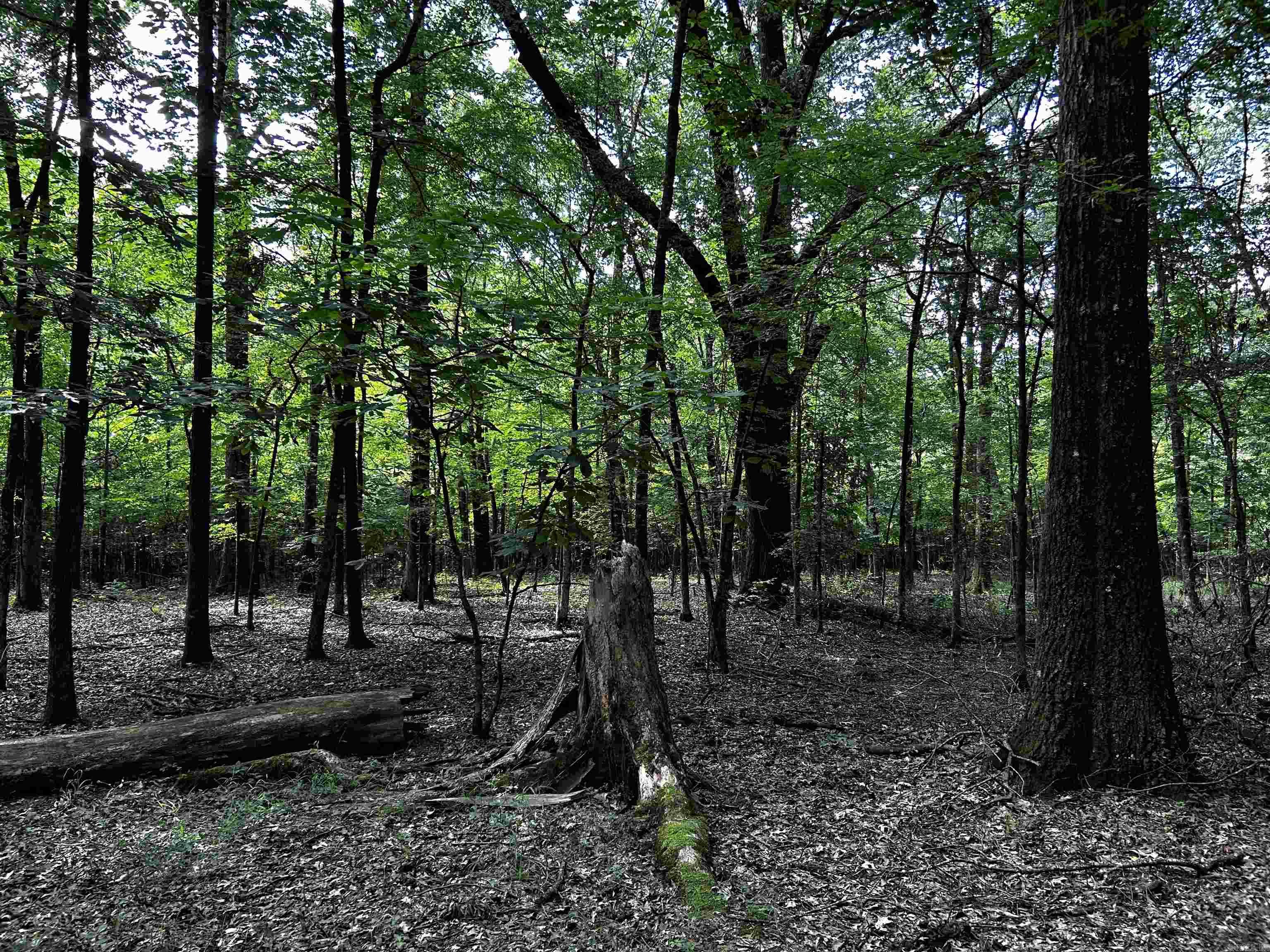 Not in Subdivision - Land