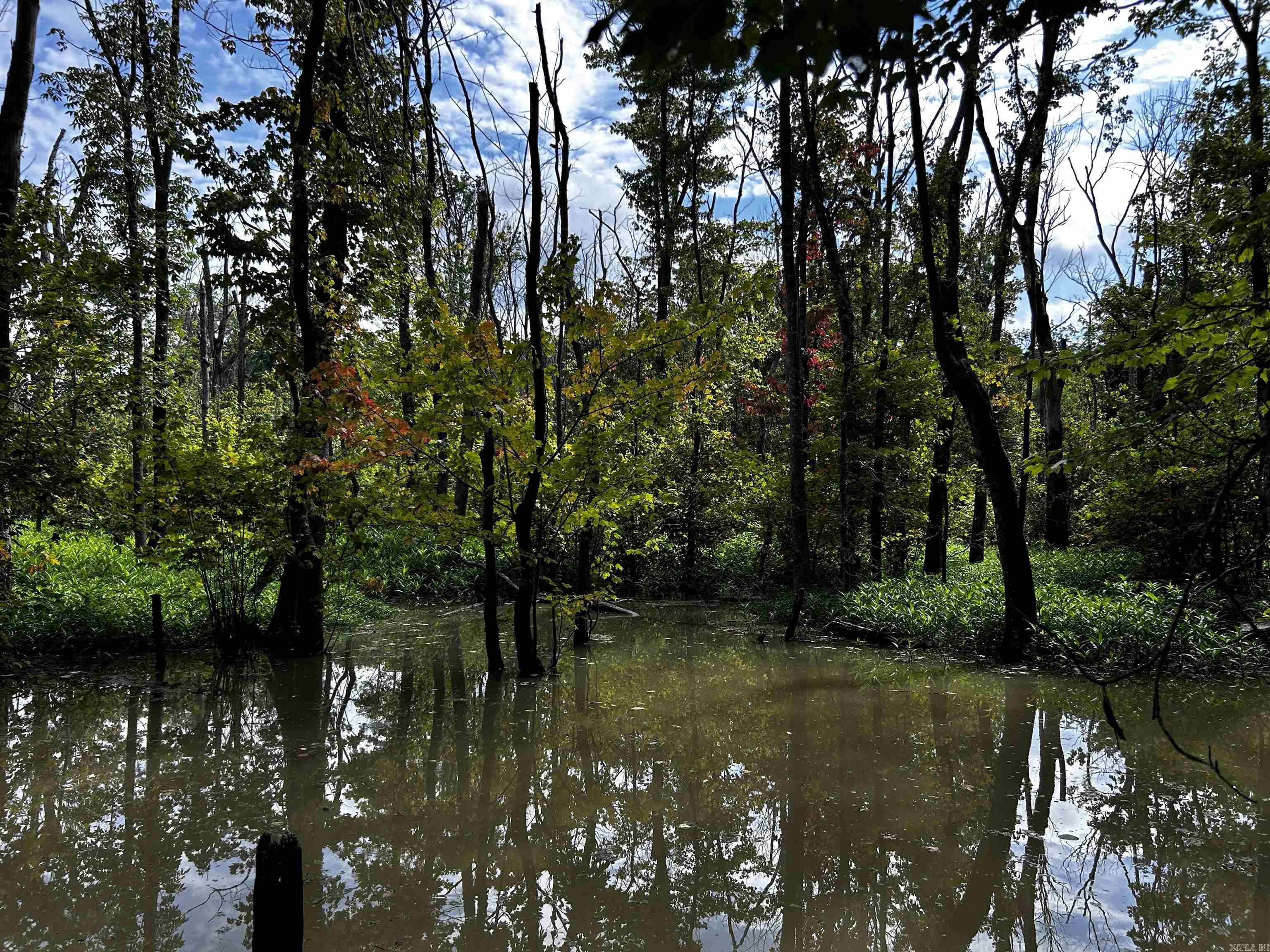 150 +/- acres of excellent duck and deer hunting property in Monroe County just east of Cotton Plant. Surrounded by row crops and bordering Cache River National Wildlife Refuge, this property offers great wildlife habitat. The landscape includes areas of young and mature trees, as well as flooded timber. The property is 15 minutes north of I-40 at Brinkley, which makes it easily accessible from Little Rock or Memphis. Agents see remarks