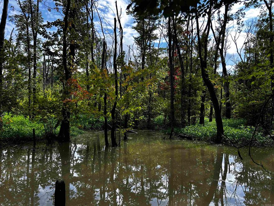 150 +/- acres of excellent duck and deer hunting property in Monroe County just east of Cotton Plant. Surrounded by row crops and bordering Cache River National Wildlife Refuge, this property offers great wildlife habitat. The landscape includes areas of young and mature trees, as well as flooded timber. The property is 15 minutes north of I-40 at Brinkley, which makes it easily accessible from Little Rock or Memphis. There is a recent appraisal on file. Agents see remarks