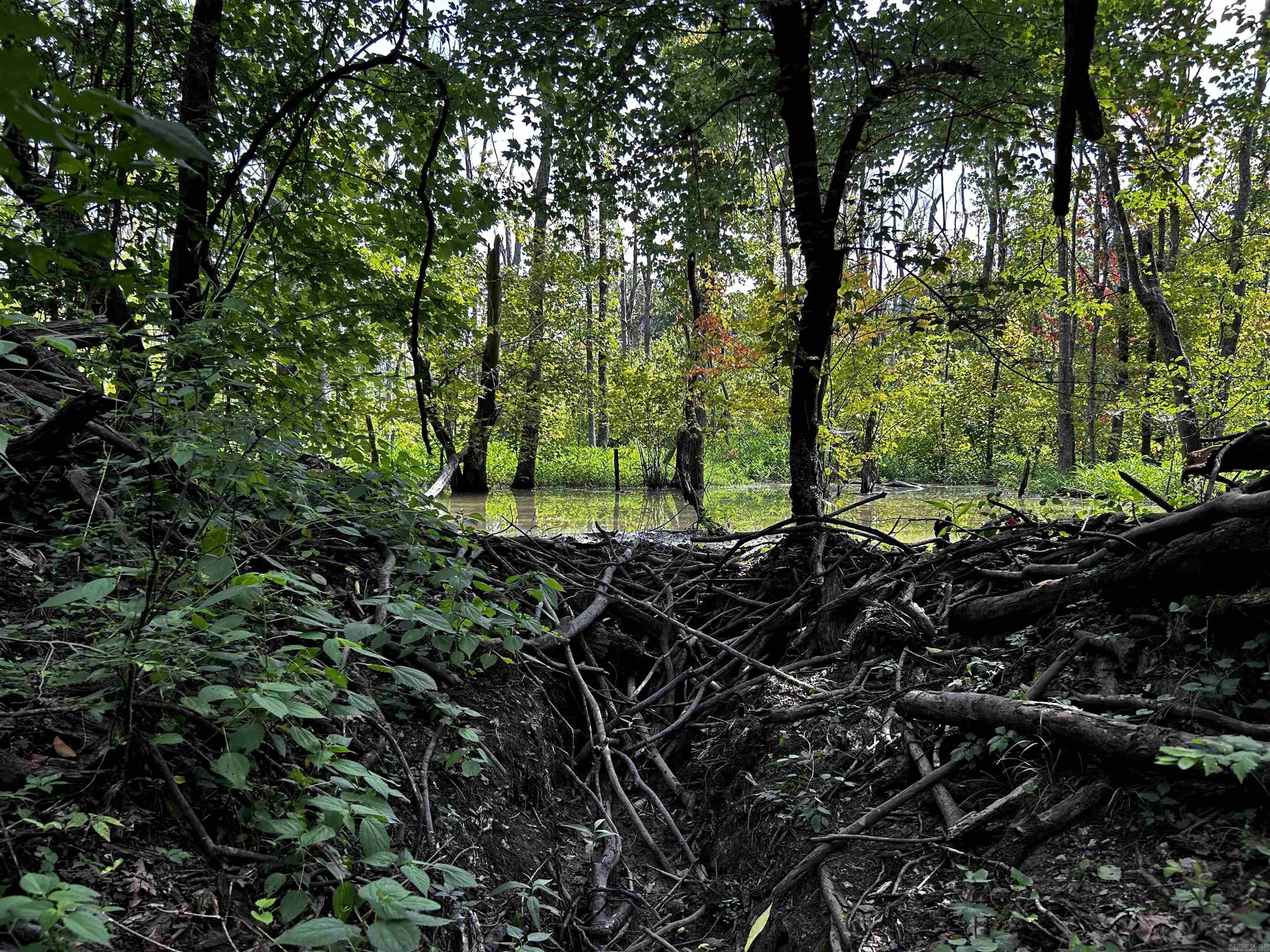 Not in Subdivision - Land