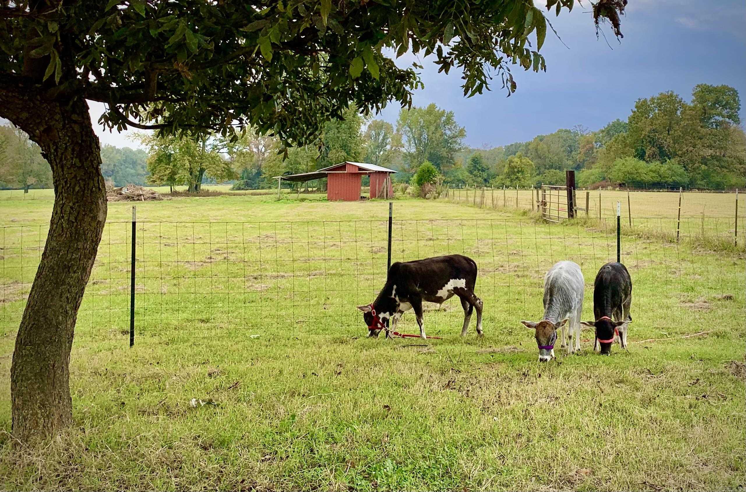 PLEASANT MEADOWS - Residential