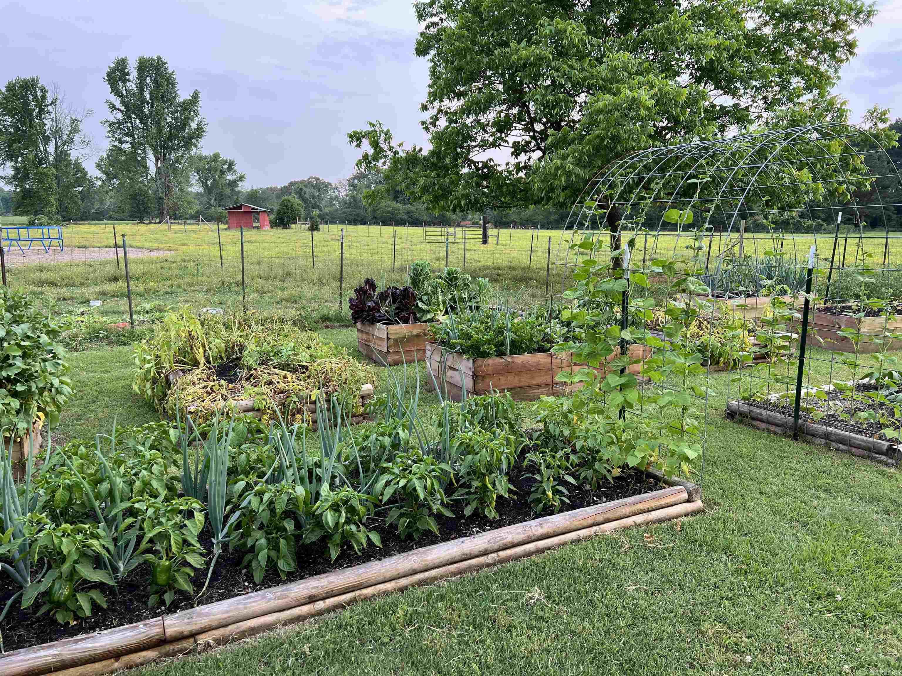 PLEASANT MEADOWS - Residential