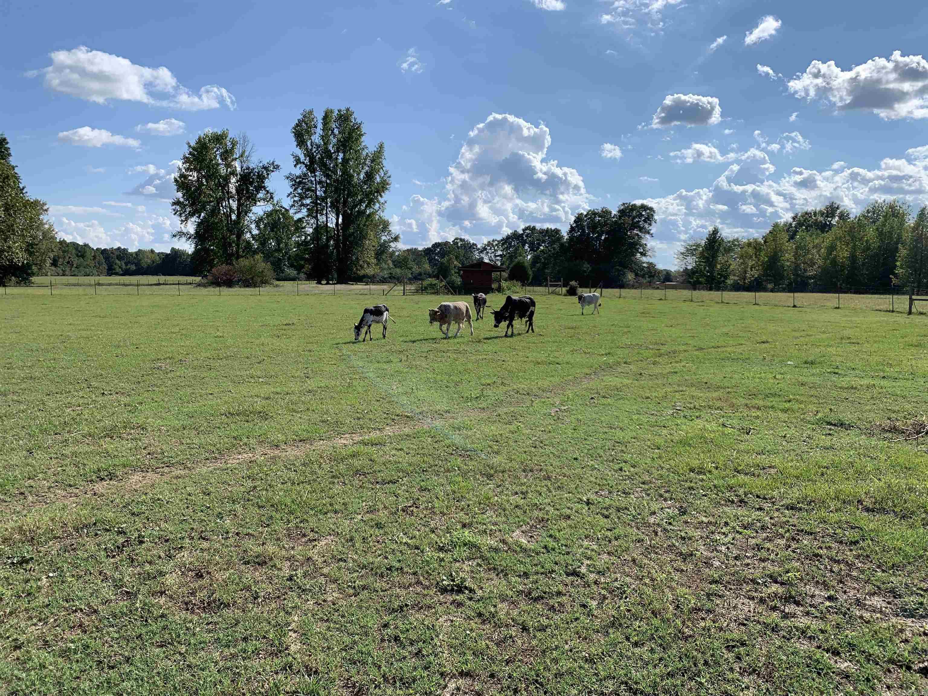 PLEASANT MEADOWS - Residential