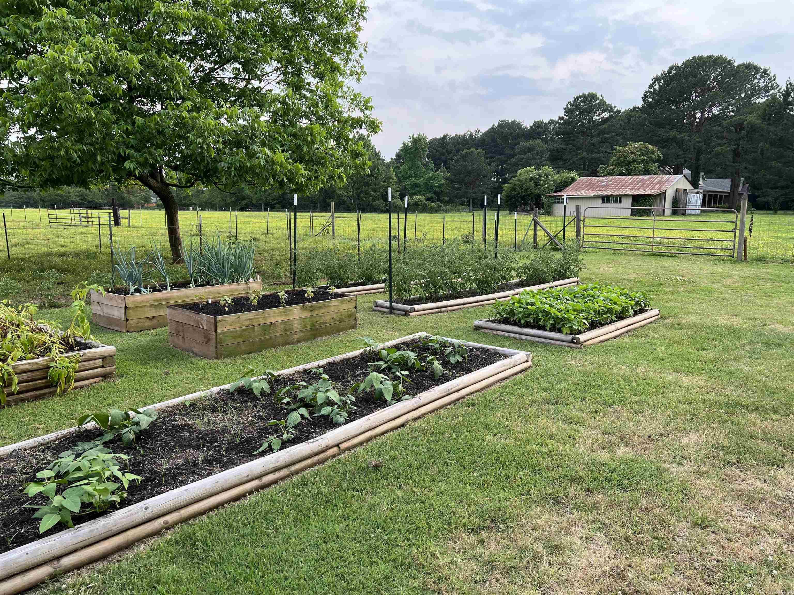 PLEASANT MEADOWS - Residential