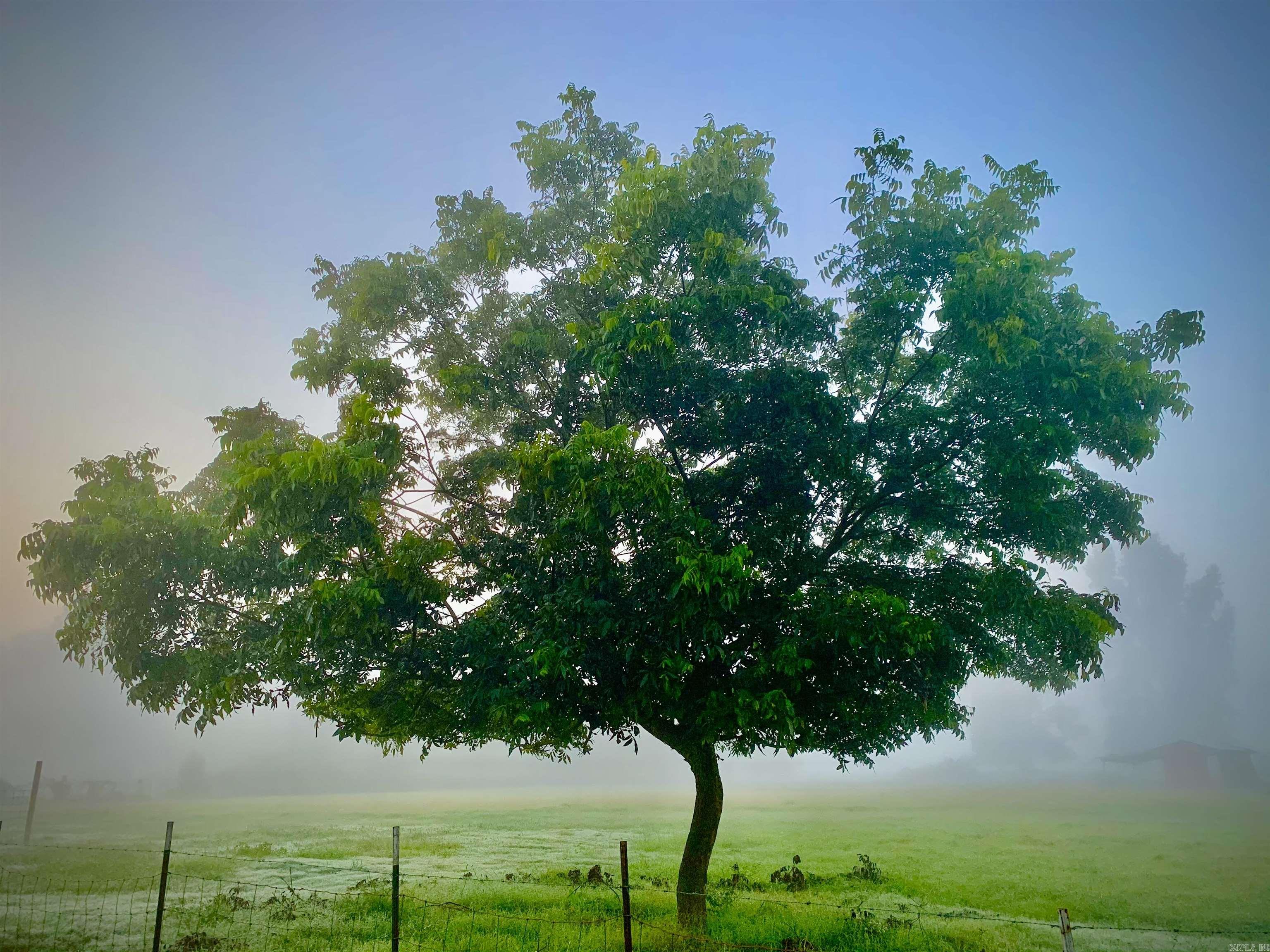 PLEASANT MEADOWS - Residential