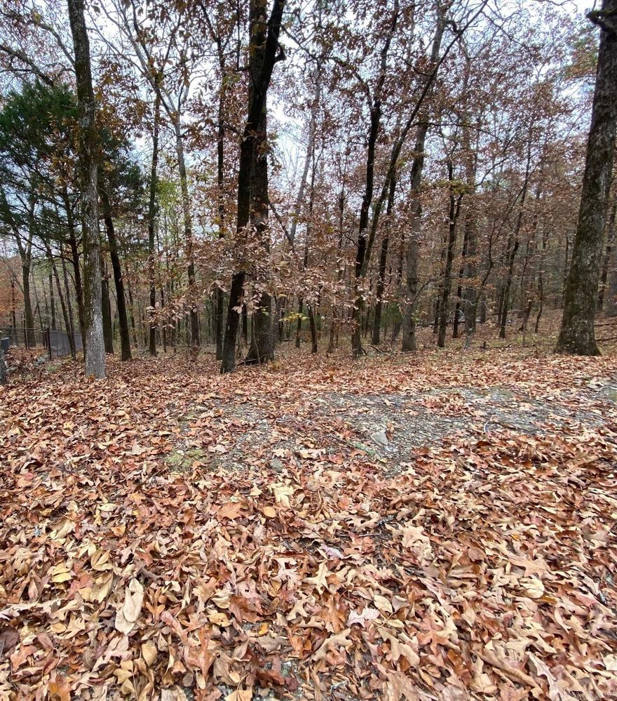 If you like to hang around and paddle around, in your canoe or kayak,  this lot  is the perfect lot for that! This spot backs to a small common area in one of the coves of Lake Pineda.  The common area is a gently sloped to the water. If you thought you could never live steps from the water, this one might change your mind.