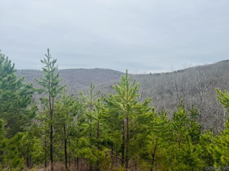 Only minutes from Clinton, this property is secluded yet easily accessed. A sportsman's paradise, this tract boasts trophy deer and wild turkeys, along with an array of other wildlife. This rolling tract of hardwoods has the potential for the ultimate recreational property or as a residence.