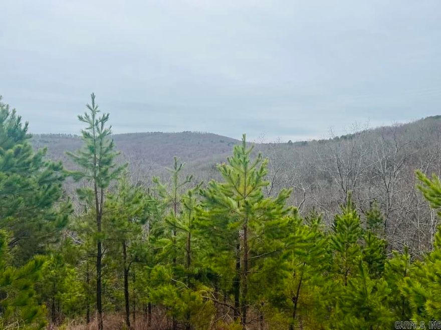 Only minutes from Clinton, this property is secluded yet easily accessed. A sportsman's paradise, this tract boasts trophy deer and wild turkeys, along with an array of other wildlife. This rolling tract of hardwoods has the potential for the ultimate recreational property or as a residence.