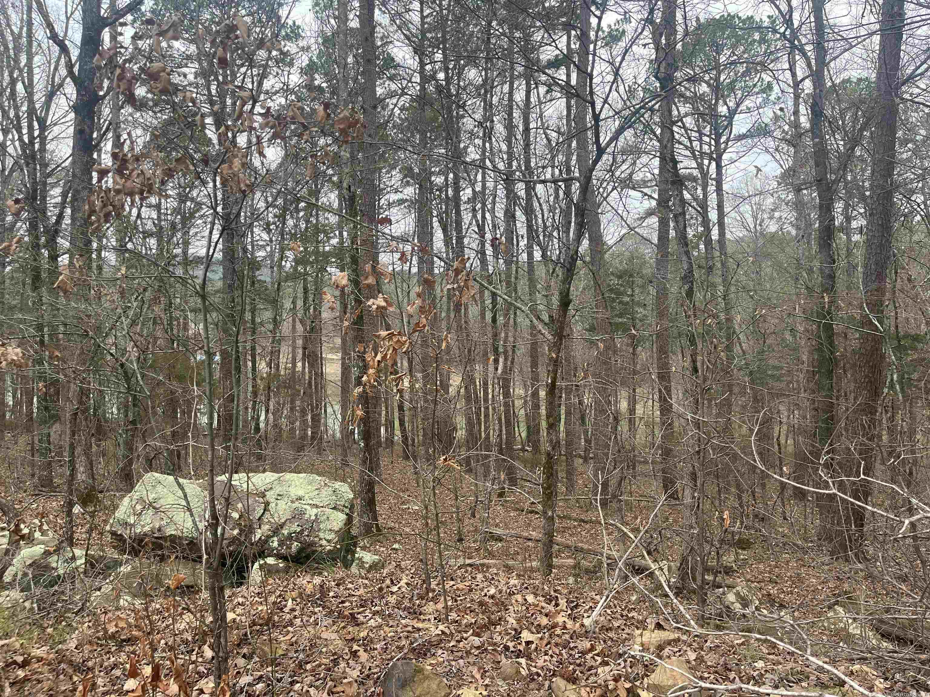 Hamiliton Hills - Land