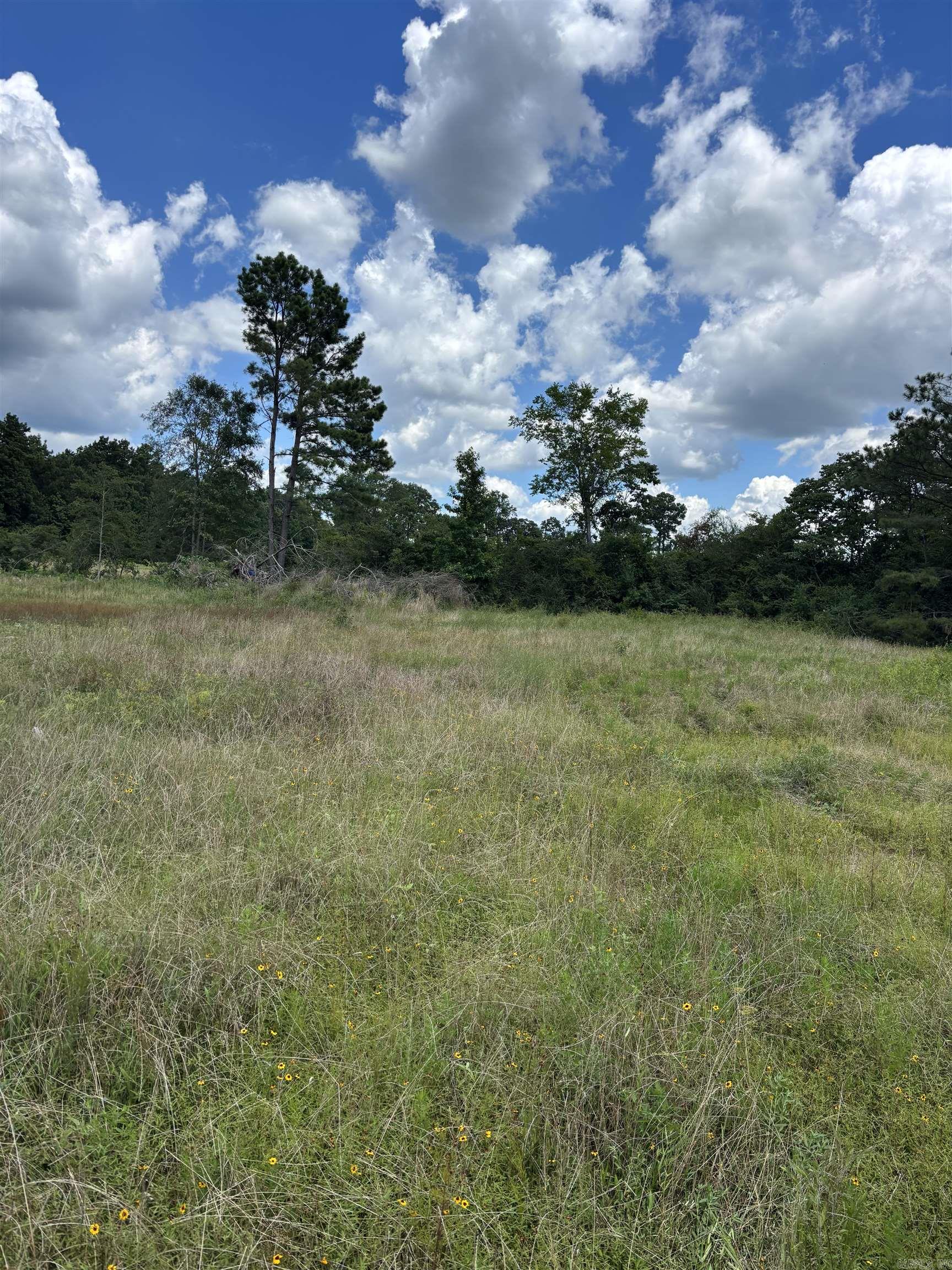 Minutes from Millwood lake and Cottonshed Campsite, this 19 acres is the perfect spot for your new home or cabin. Road frontage with some utilities available. Contact our office for more details.