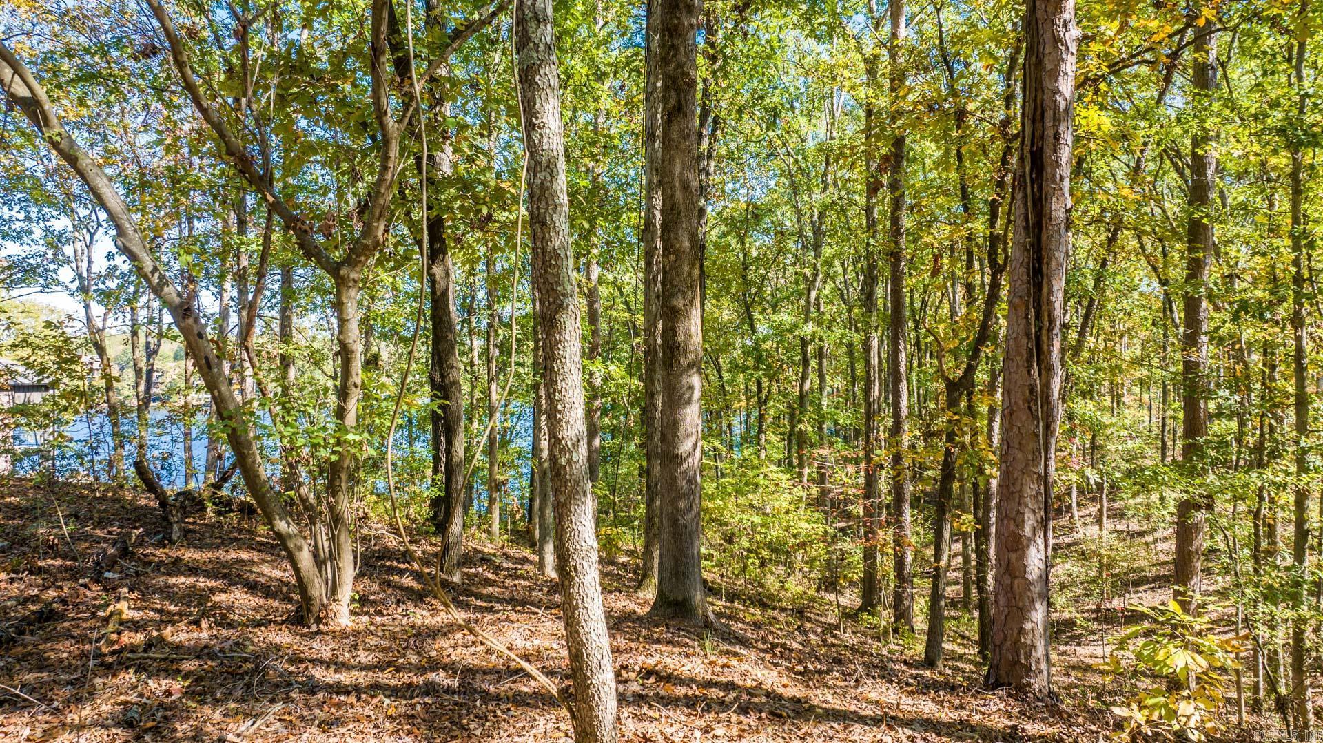 Jeffries & Norvell - Land