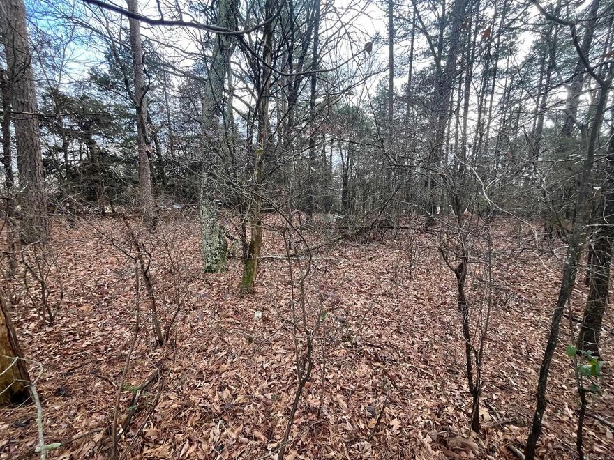 This beautiful property consists of approximately 1.5 acres of vacant wooded land. It offers a blank canvas for future development. The parcel is free of existing structures and utilities available on Spires Rd. This site provides adequate frontage and access on a paved county road. Located in an area with tranquility and amazing sun sets. Great opportunity to own usable acreage, with NO restrictions!