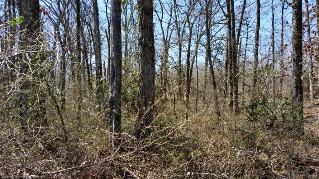 Jones & Grizzle - Residential