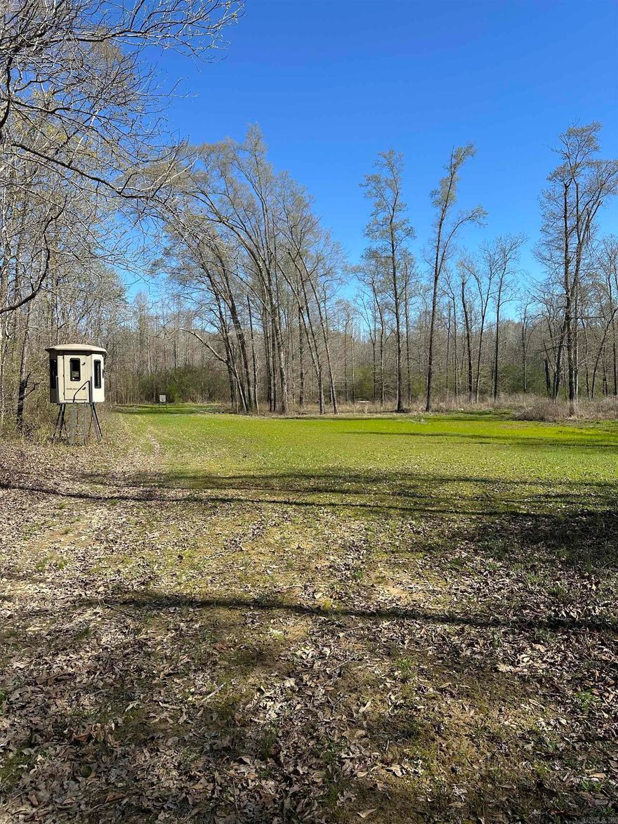 This 40 Acres is located on Lebanon Road near McRae in White County. It is a prime hunting and recreational property that offers the opportunity to hunt deer, turkey, and ducks. Cane Creek also runs the back of the property which offers year round water and fishing. This 40 acres is accessed via a 16 foot strip that connects to Lebanon Road. With food plots, tower stands, shooting lanes, and a creek that floods to allow green timber duck hunting in the winter this property is turn key and ready for next hunting season. Hunting properties that offer so many opportunities with a great location at this price point are hard to come by ,so give me a call if you would like to check it out. Additional acreage available.