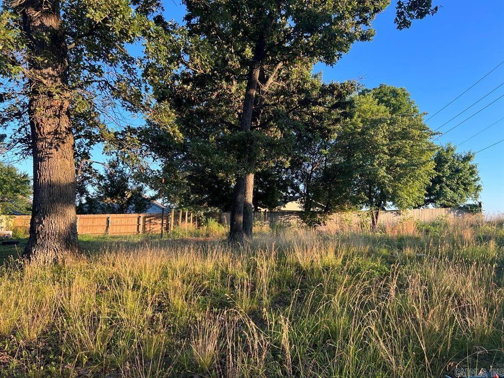 Nice level building lot with city utilities including water, sewer, electric, and phone available. The lot is 50 feet wide and 99 feet deep. Possible Owner Financing!! Come see it today!