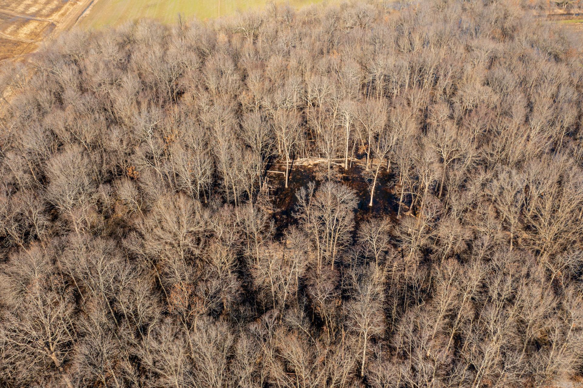 Metes & Bounds - Farm