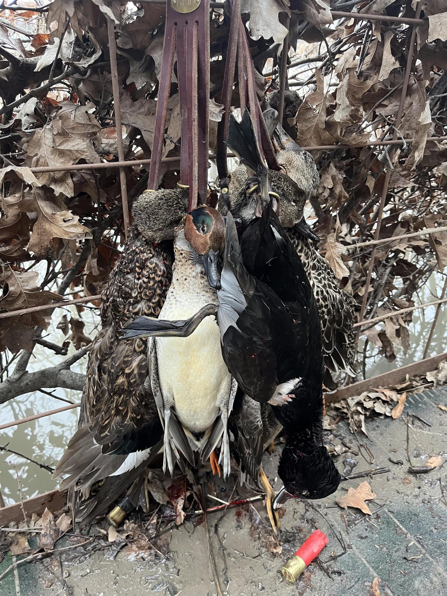 Metes & Bounds - Farm