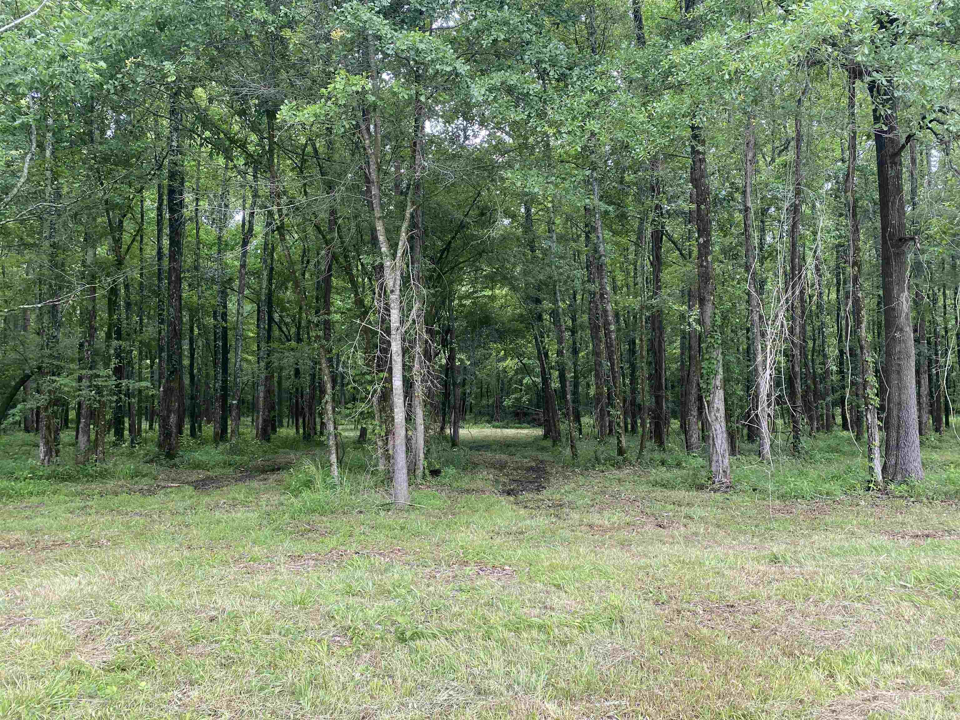 Metes & Bounds - Land