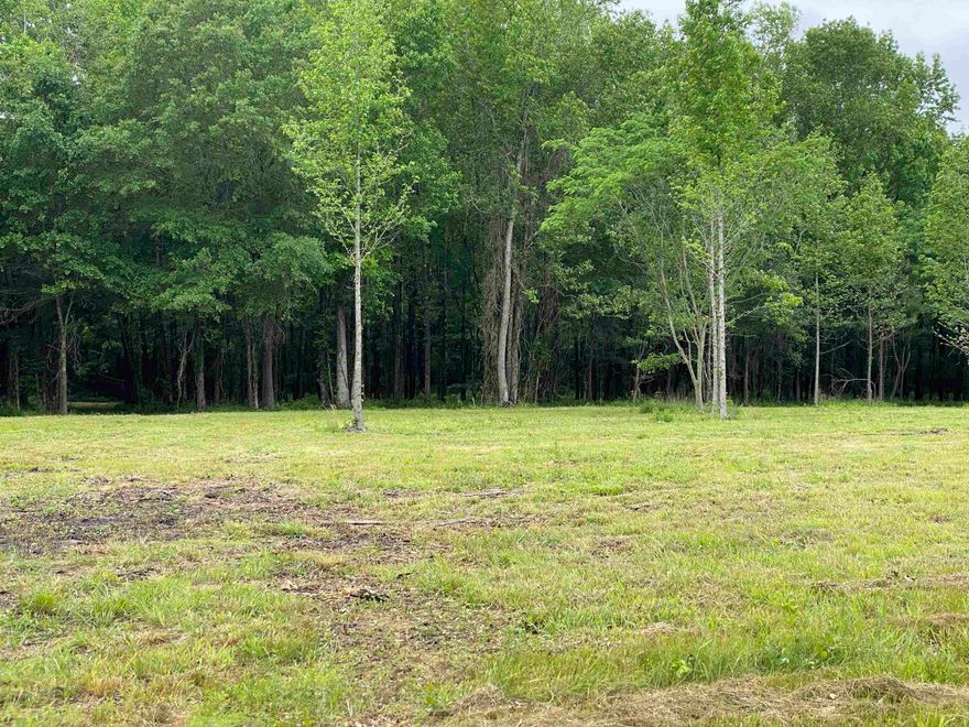 Check out this 29 acre property located in the Cabot School District. The land is partially cleared and has a perfect location to build your dream home. Majority of the land is tree covered and perfect for hunting of just providing privacy. Seller has already had perc test done and will provide to the buyer.