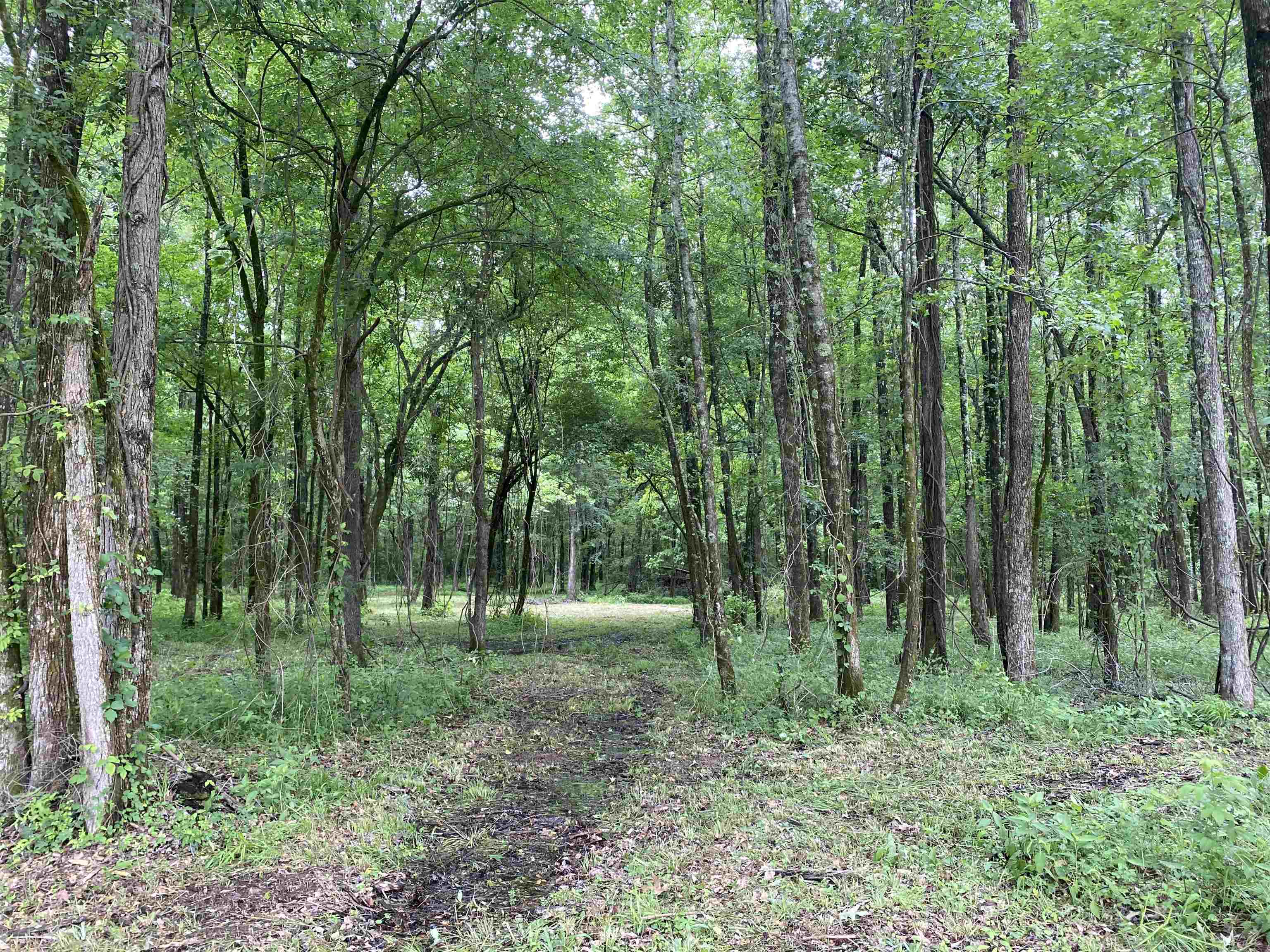 Metes & Bounds - Land