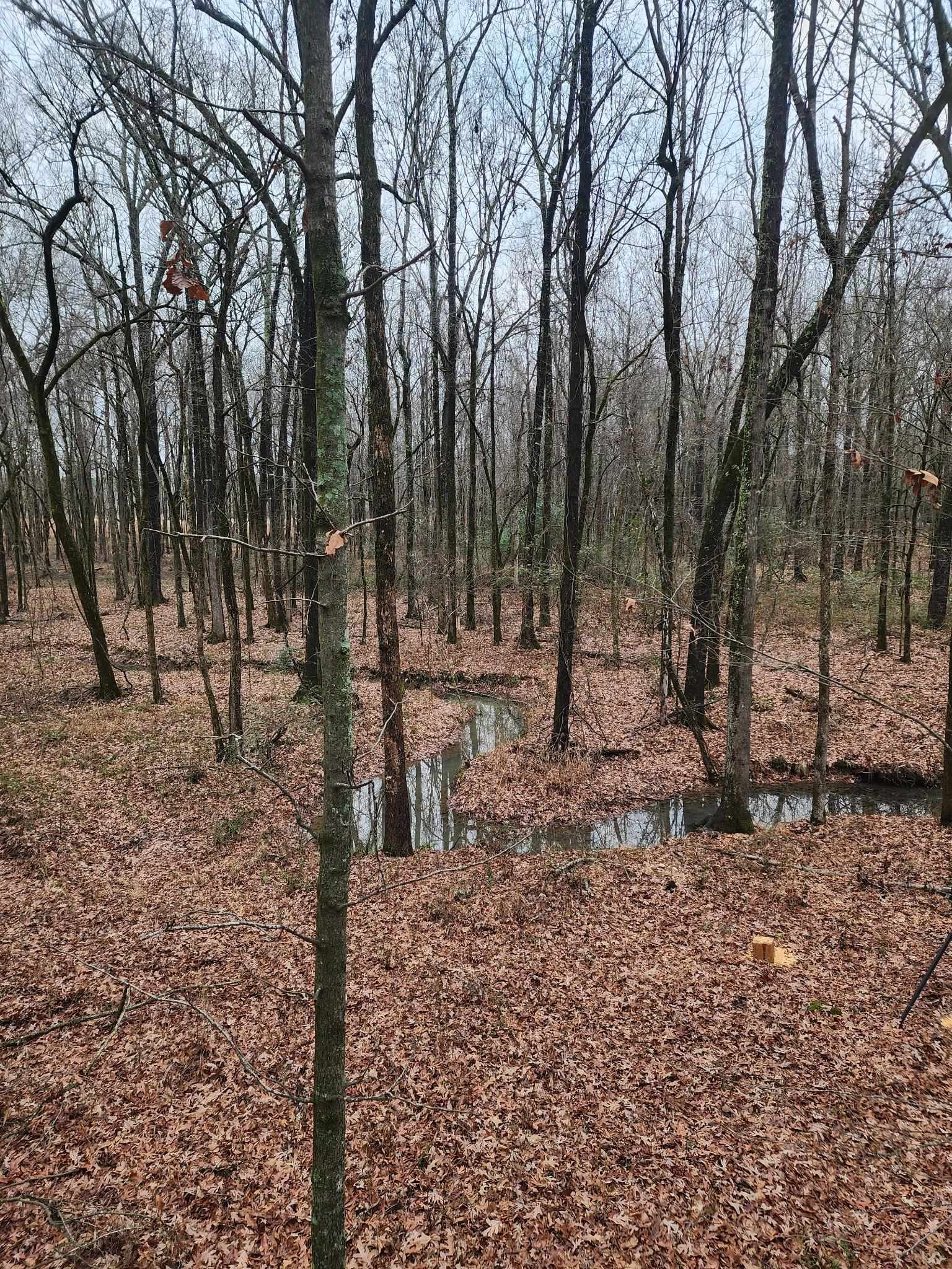 Metes & Bounds - Land