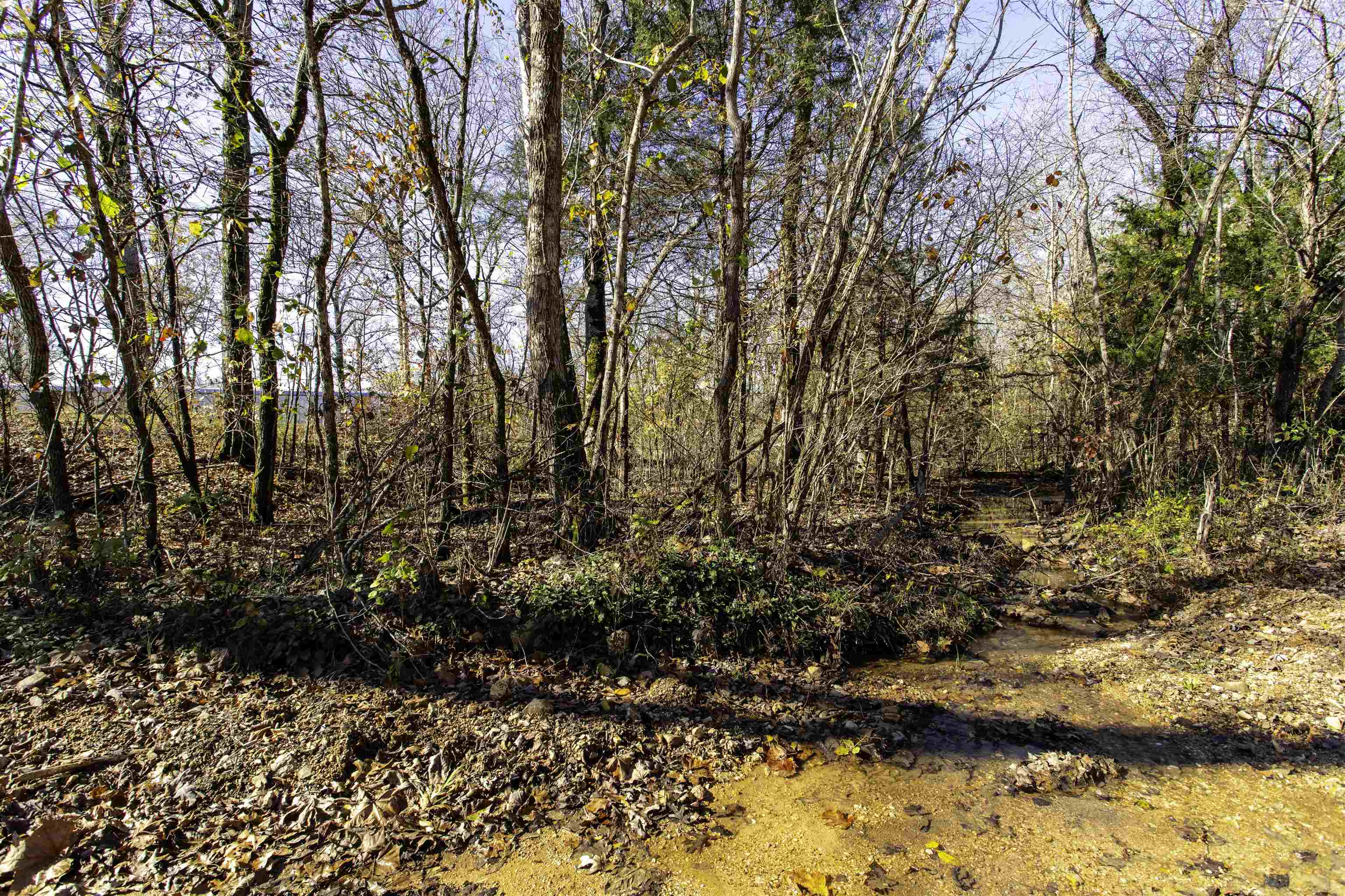 SCOTT ADDITION - Land