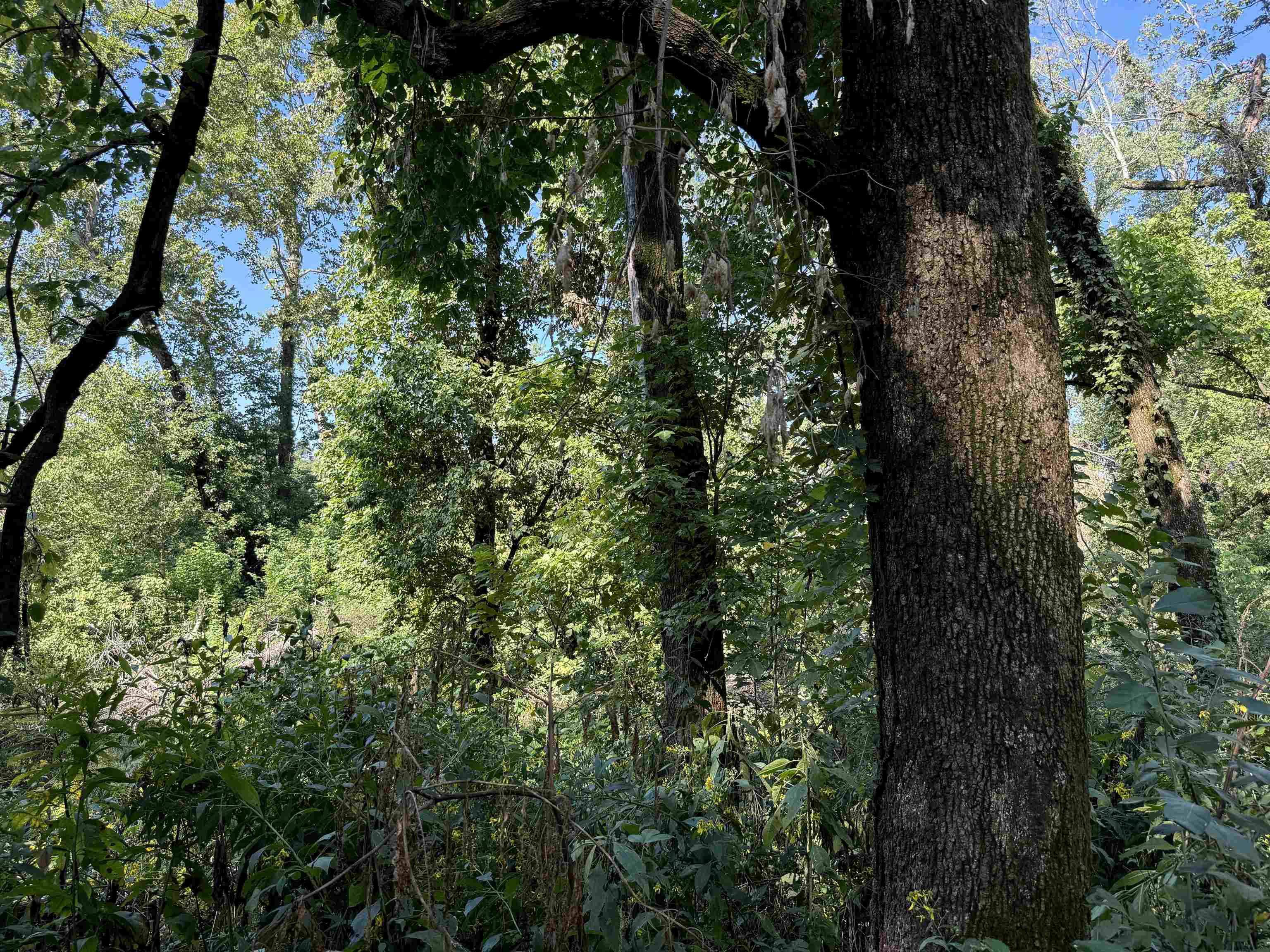 SCOTT ADDITION - Land