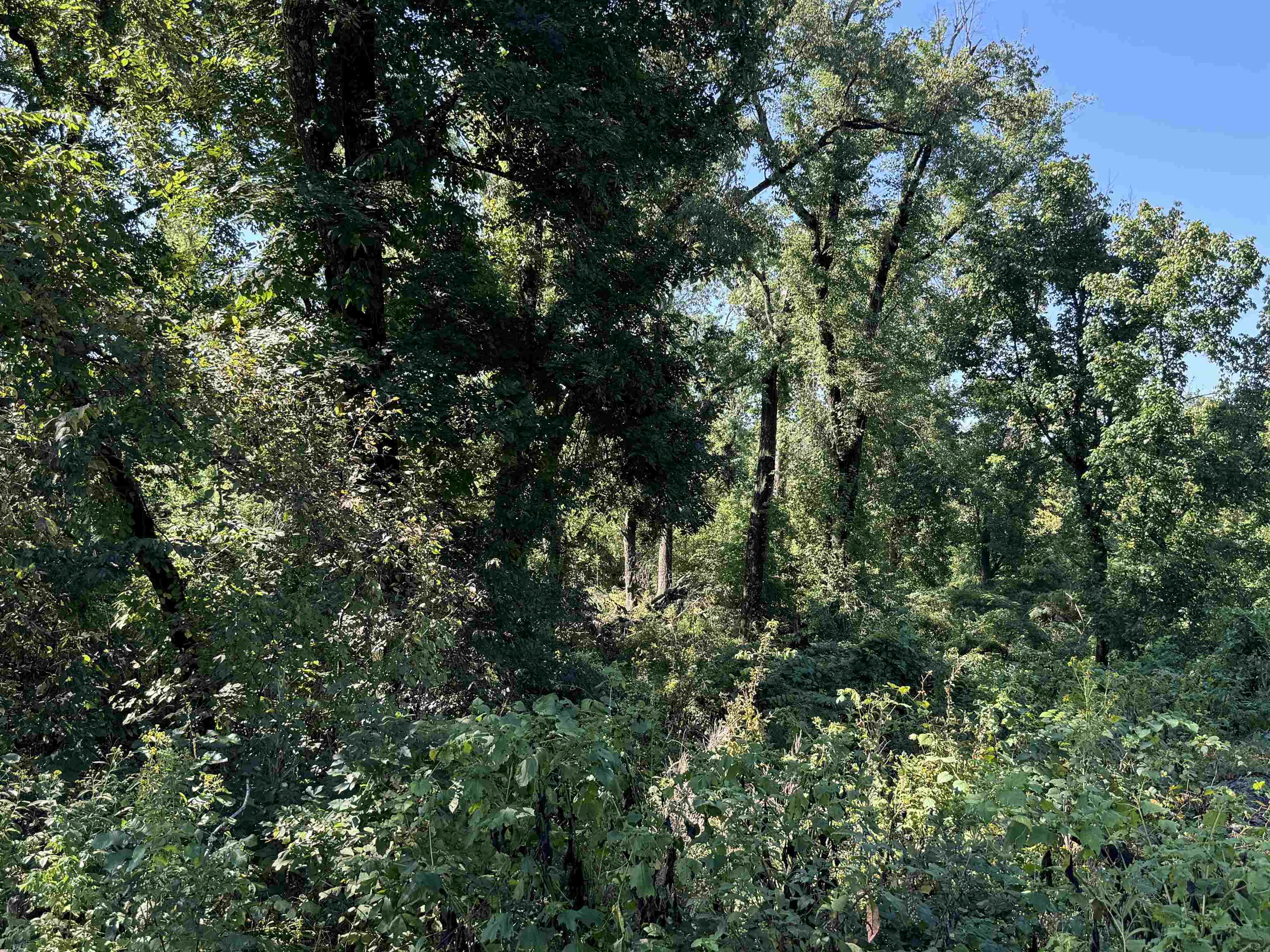 SCOTT ADDITION - Land