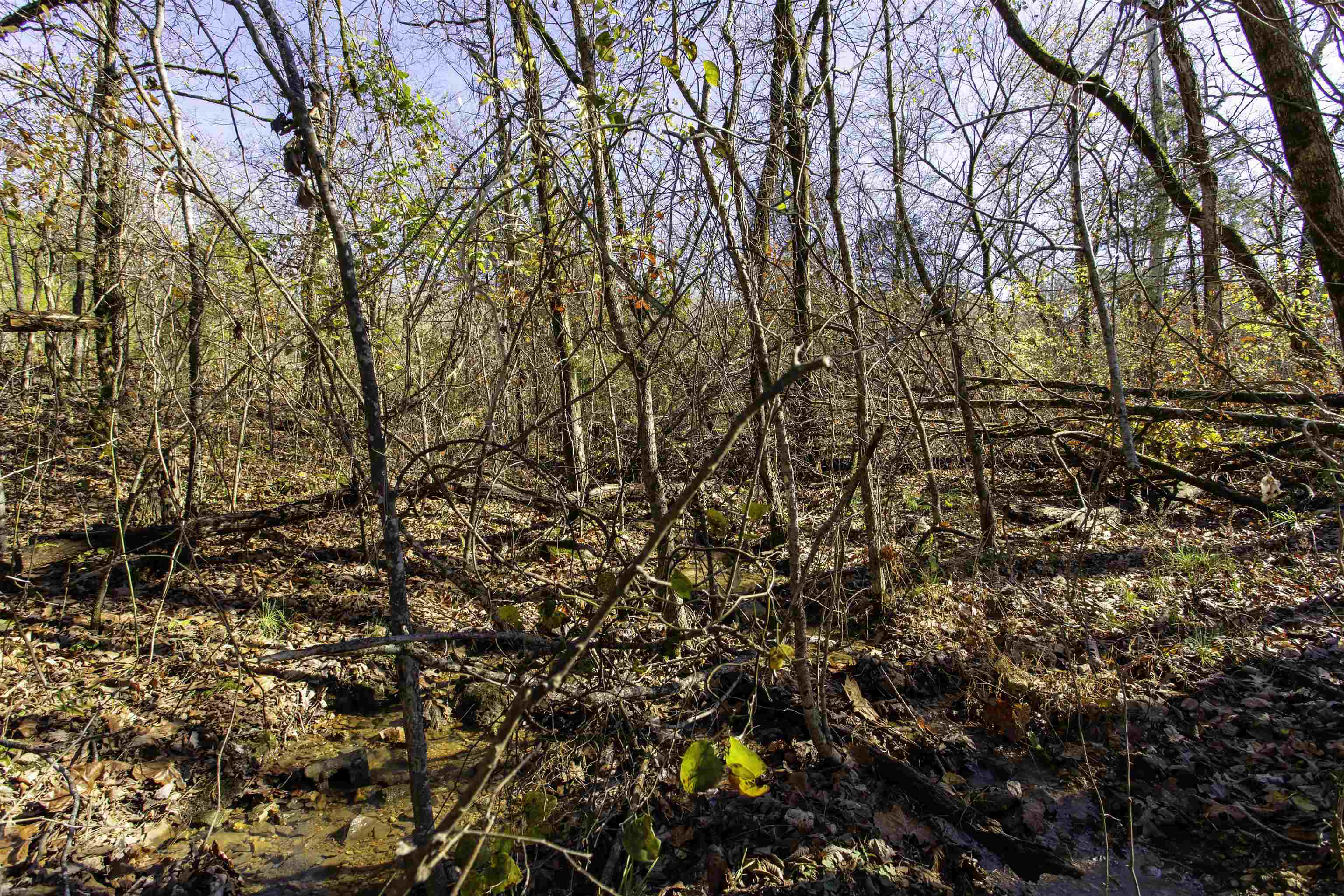 SCOTT ADDITION - Land