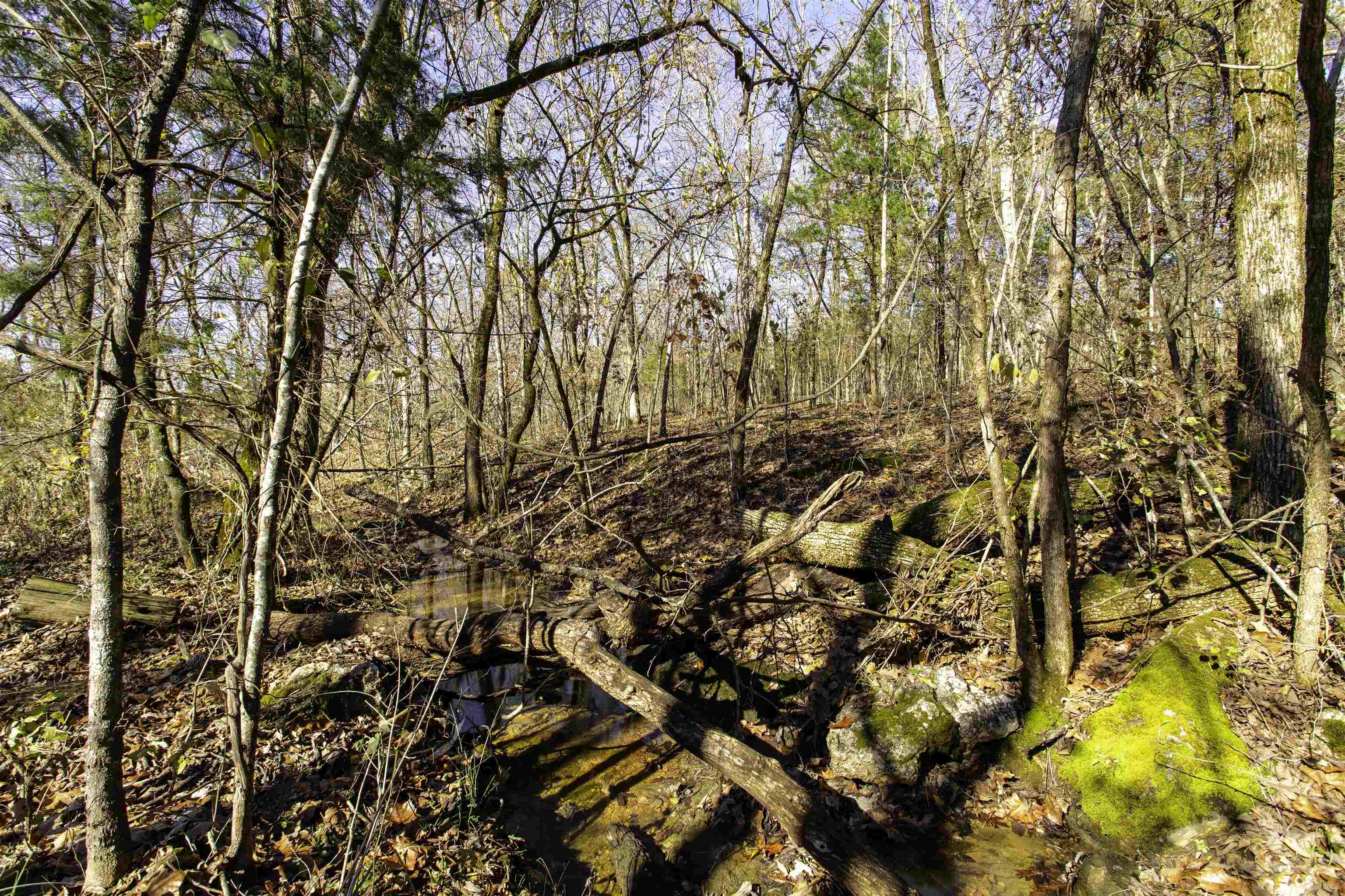 SCOTT ADDITION - Land