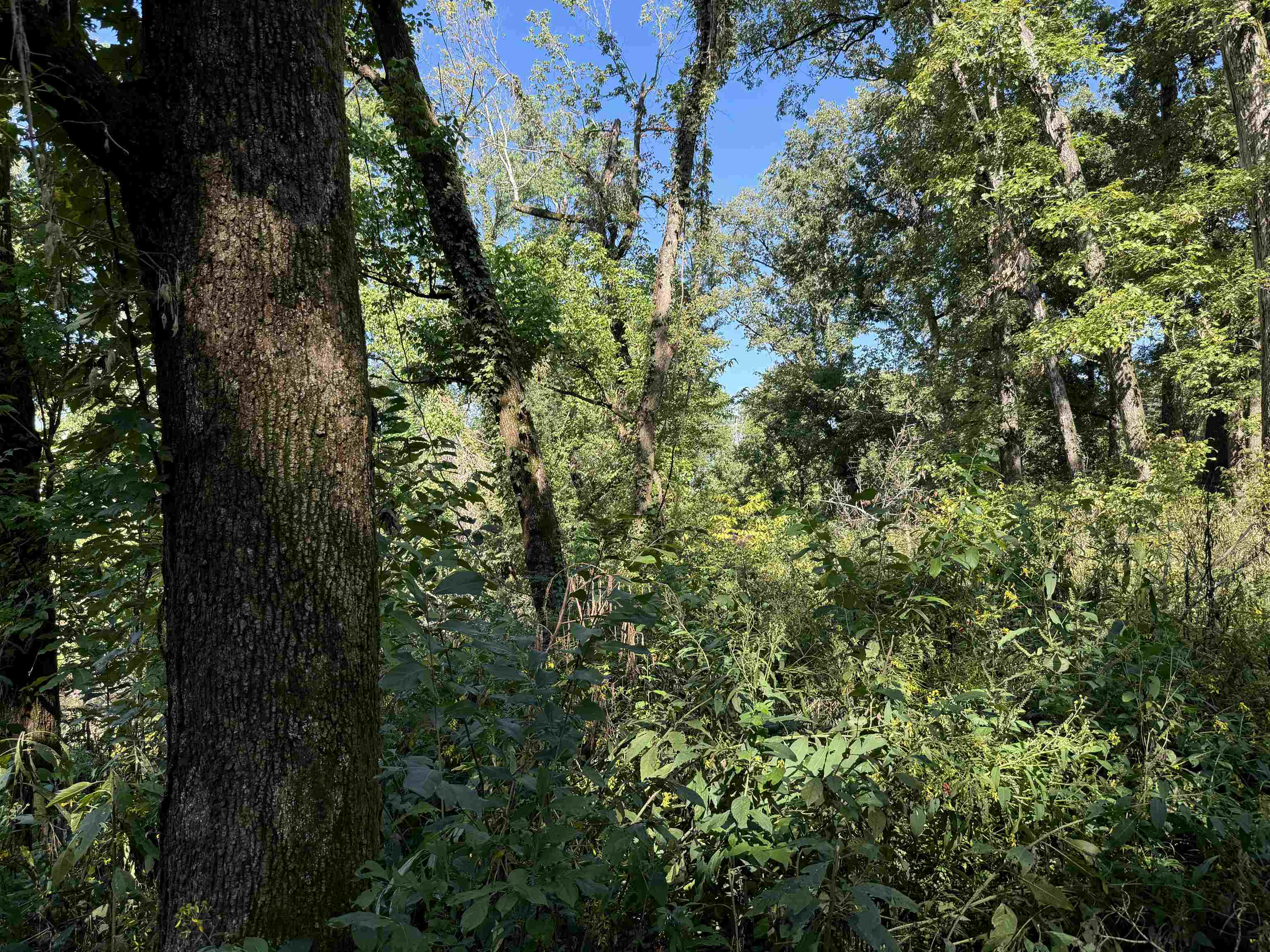 SCOTT ADDITION - Land