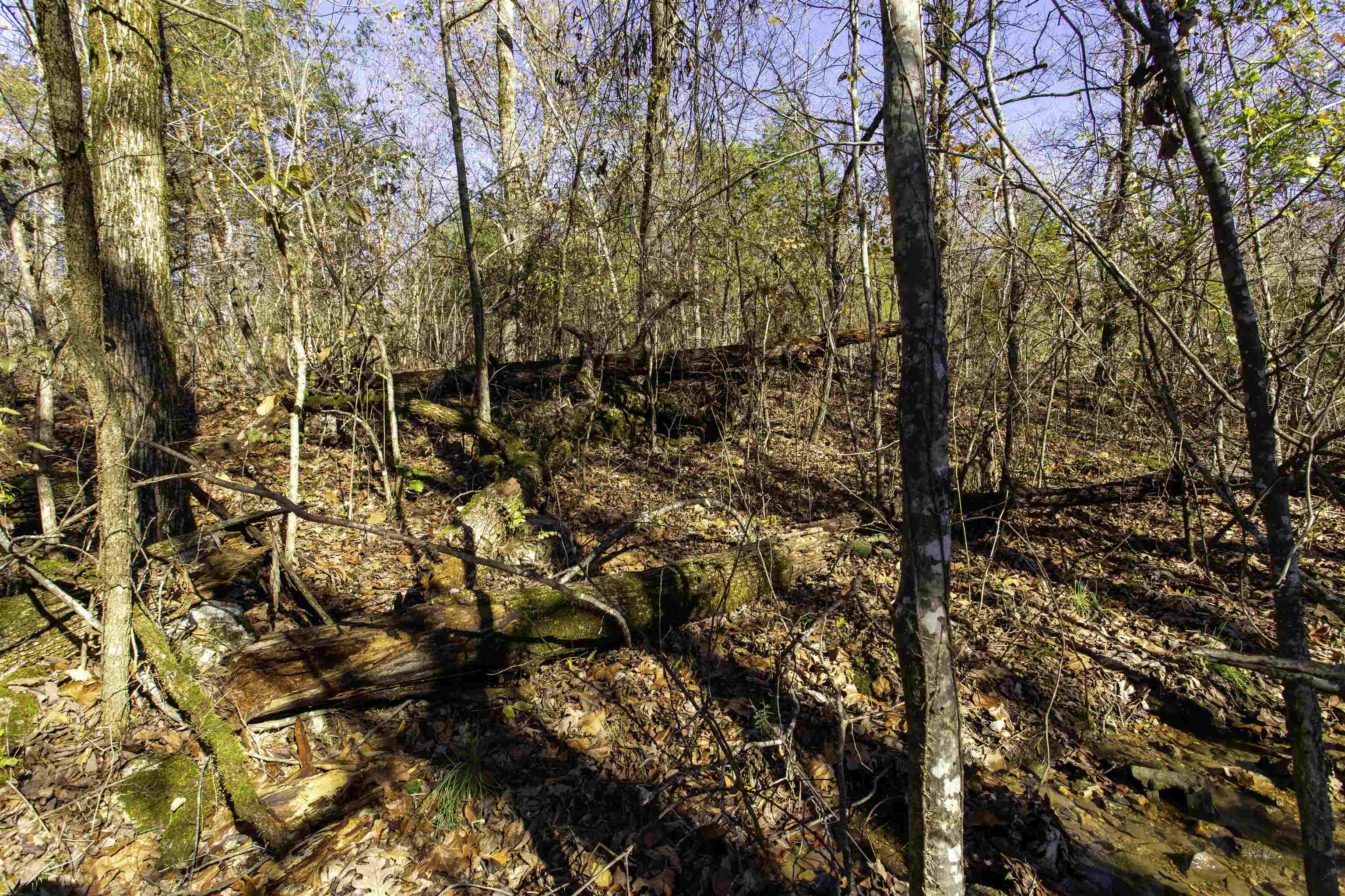 SCOTT ADDITION - Land