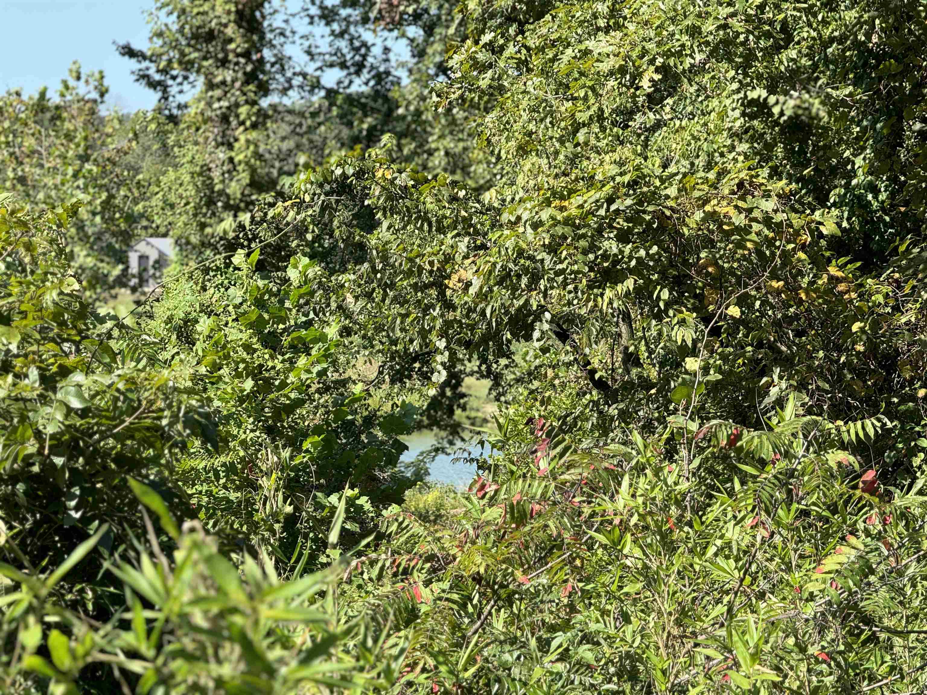 SCOTT ADDITION - Land