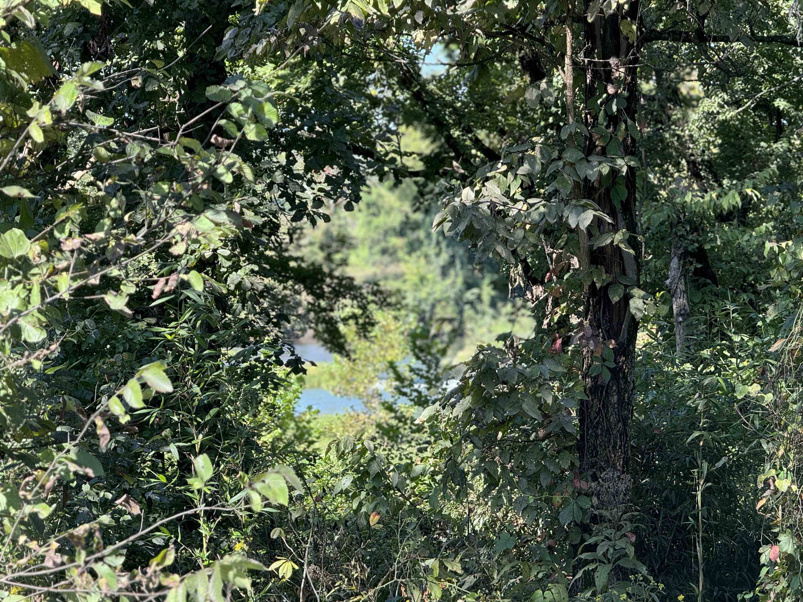 SCOTT ADDITION - Land