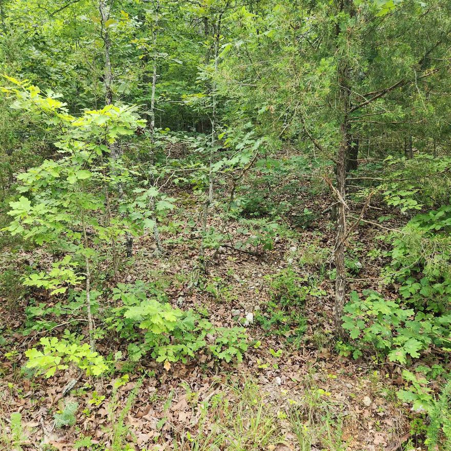 Wonderful and wooded lot in the heart of Cherokee Village. Secluded and away from it all. Buy this lot and pick your spot to build your dream home or just a getaway cabin. With ownership of this lot you have access to all the amenities of Cherokee Village such as the lakes and golf courses and Thunderbird Center and swimming pool, mini golf, parks, hiking trails and don't forget about the beautiful Southfork River.