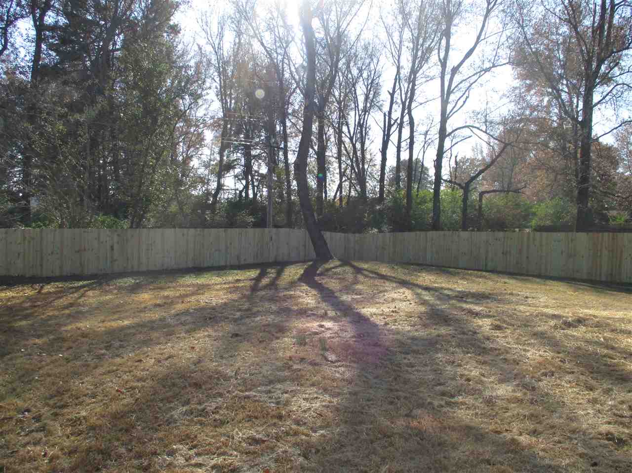 Pine Crest - Residential Lease