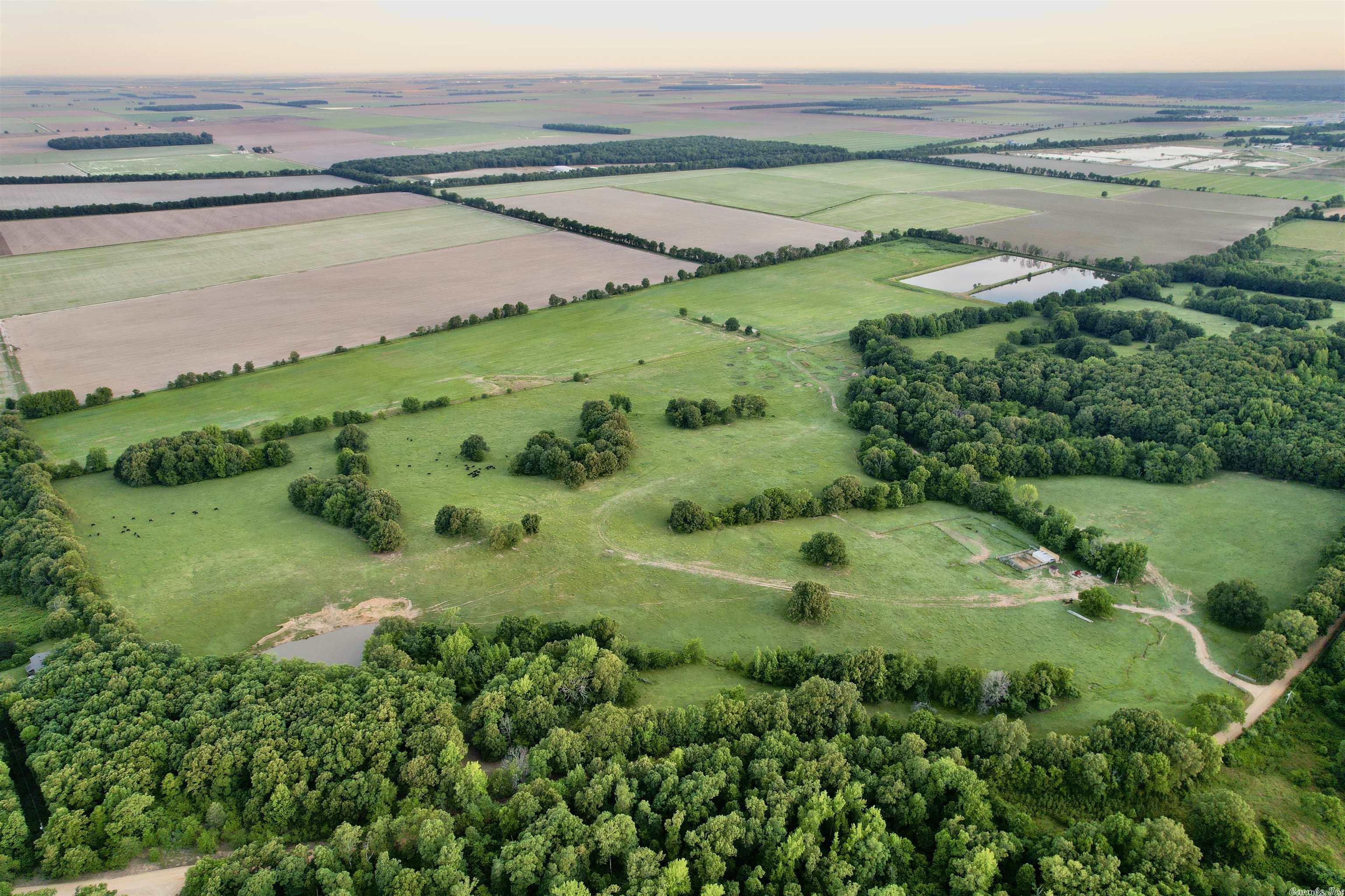 Metes & Bounds - Farm