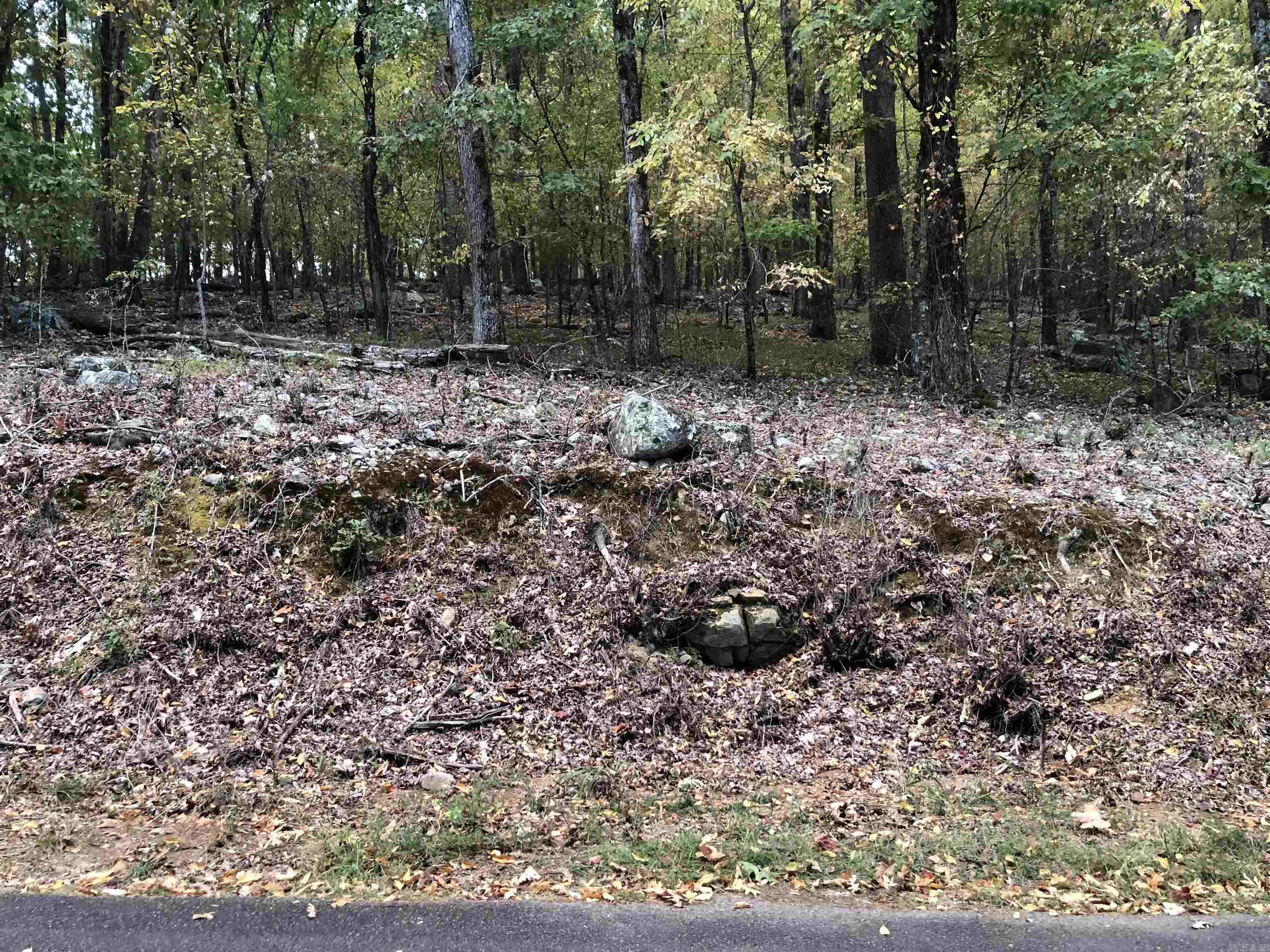 Lake Ouachita Shores - Land