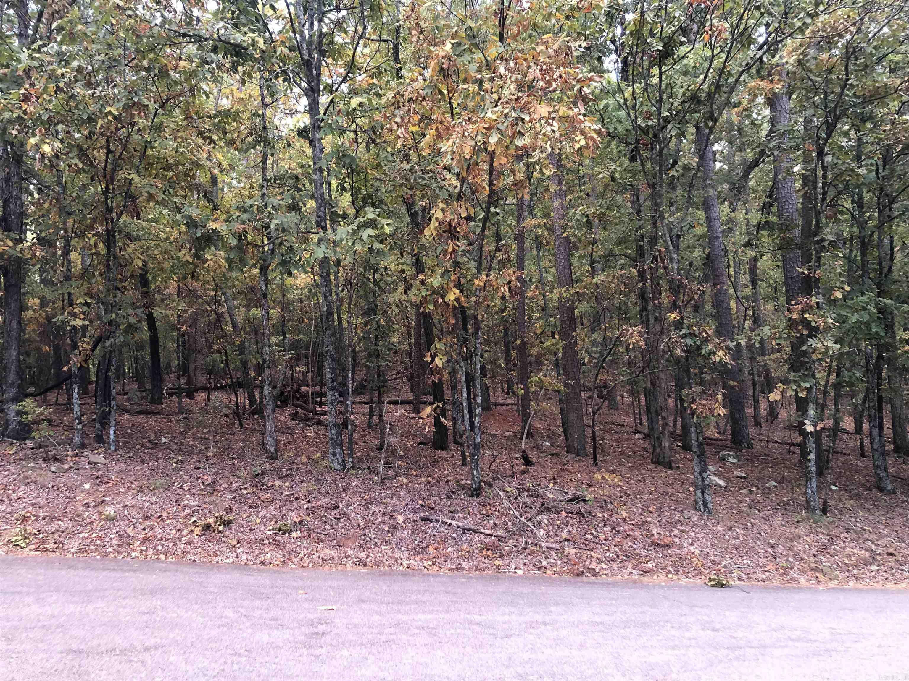 Lake Ouachita Shores - Land