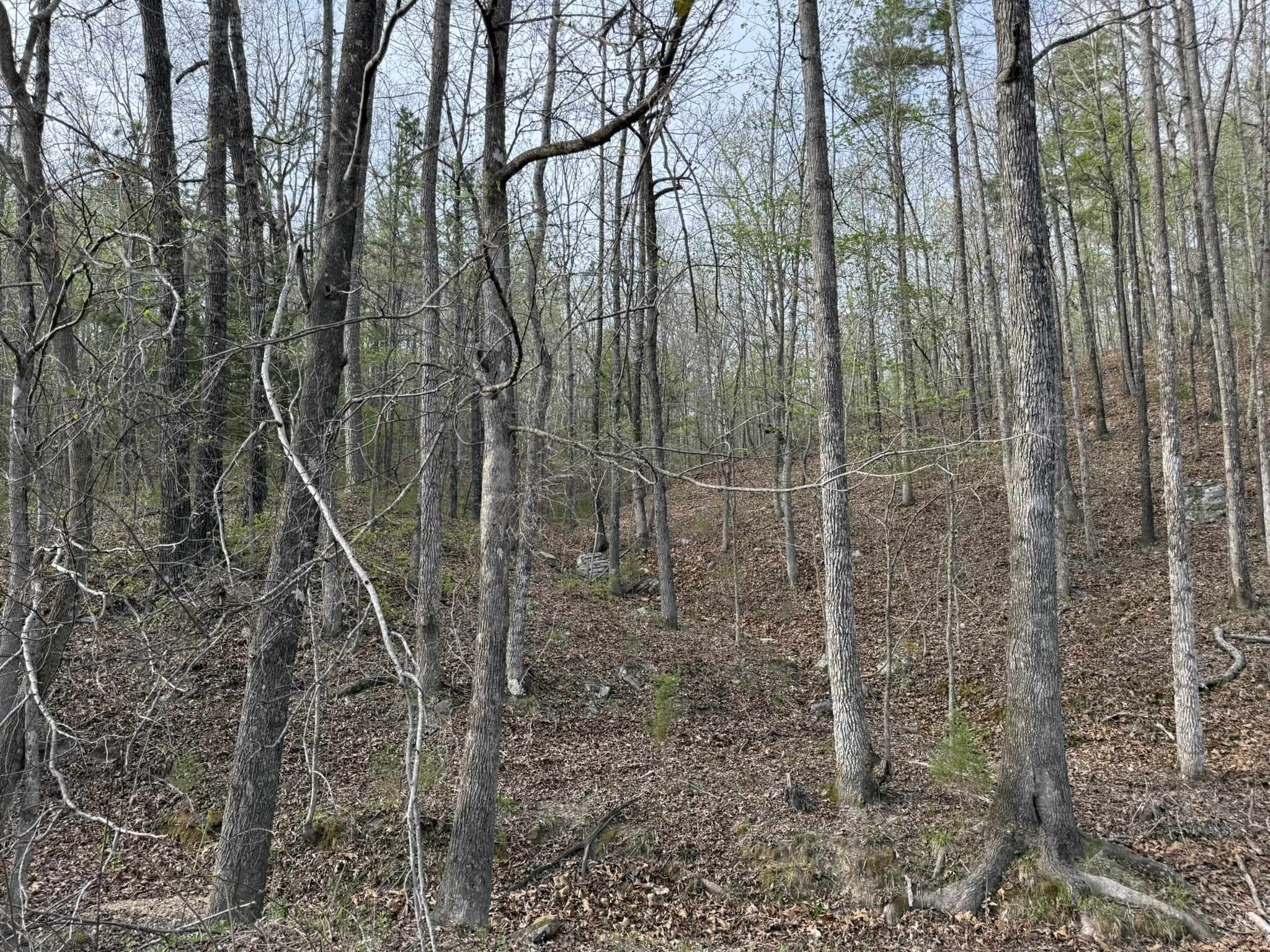 Metes & Bounds - Land