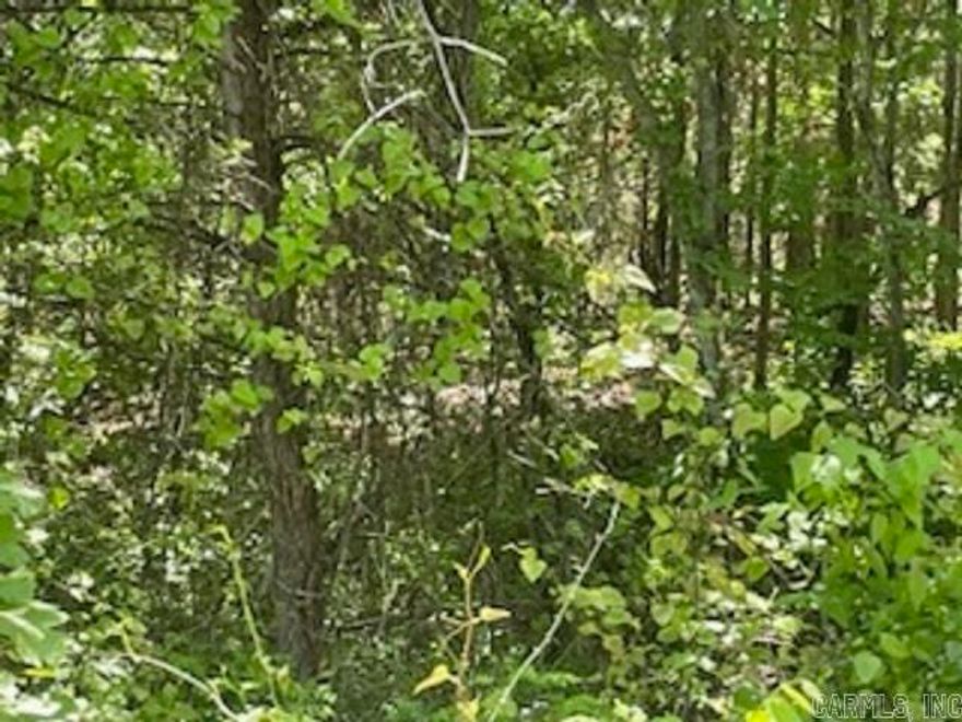 Close to Bull Shoals Lake and the White River with City water and sewer. Wooded lot needs clearing for your home. $9,900.
